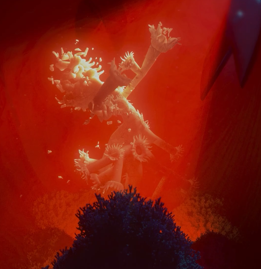 Screenshot 2025-06-13 134828.png