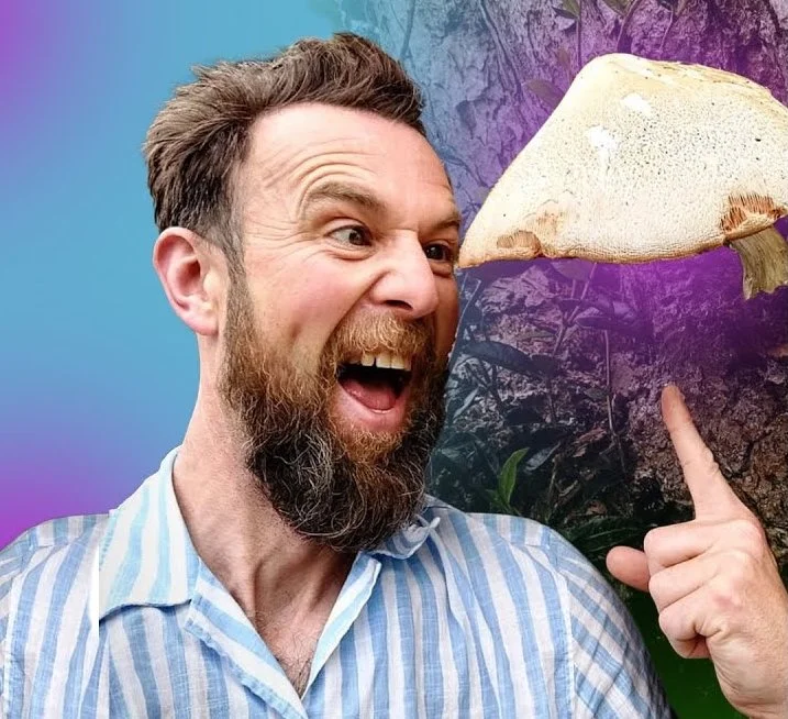 Discover the Magic of Mushrooms