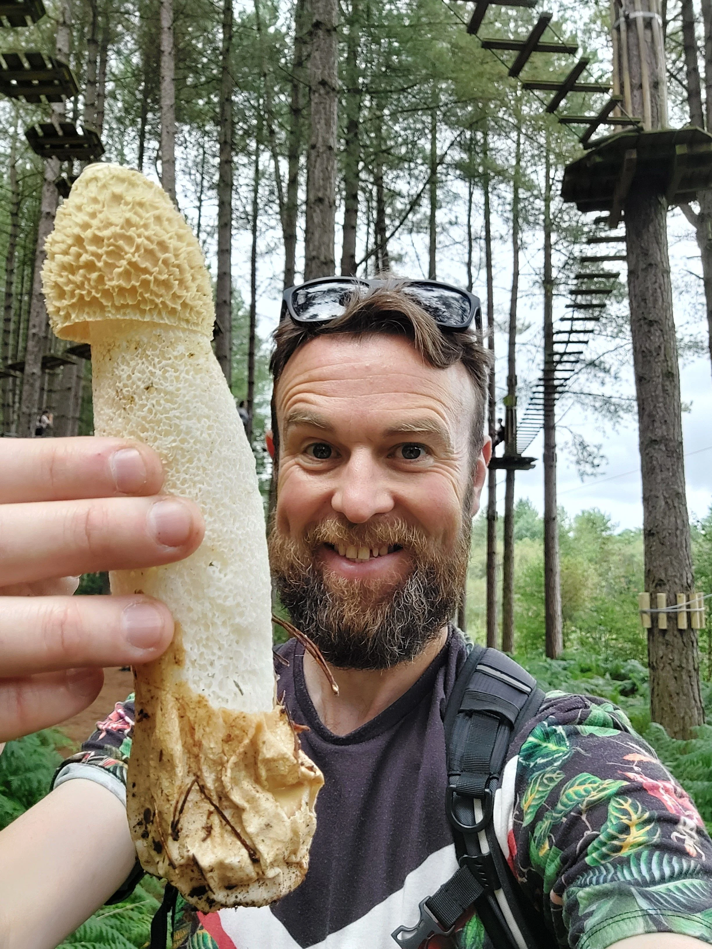 Rotters & Stinkers: a guide to Stinkhorns and other fungal peculiars