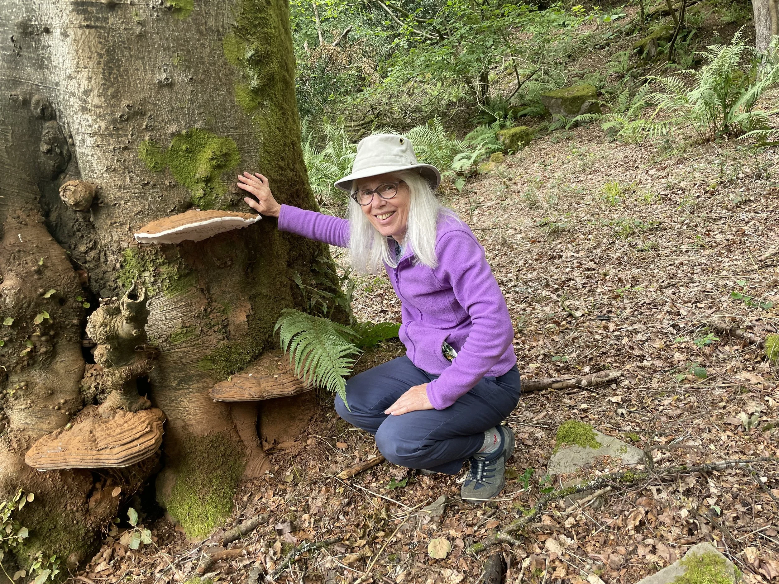 The Amazing Hidden Kingdom - Fungi