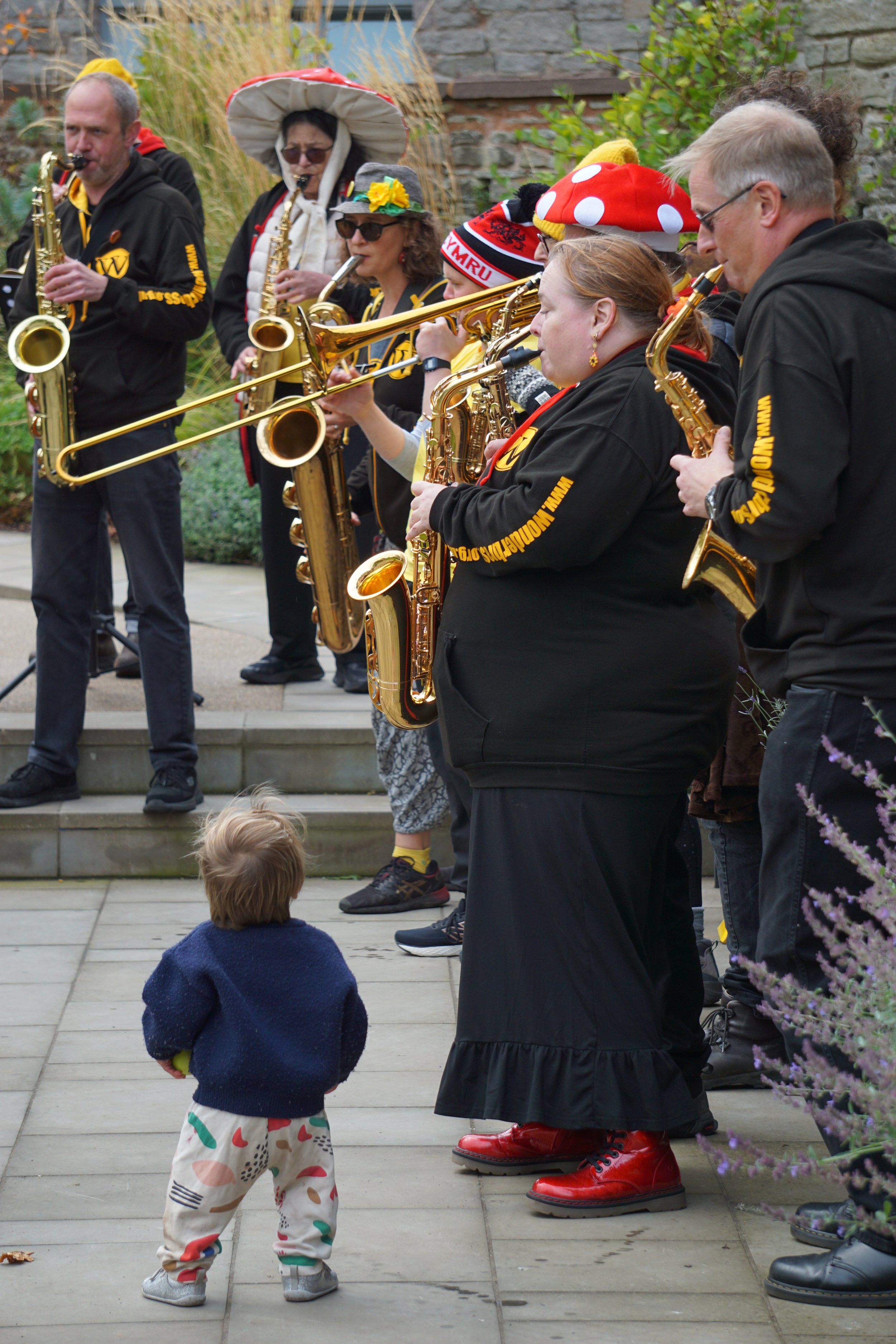 Wonderbrass Mushroom Parade