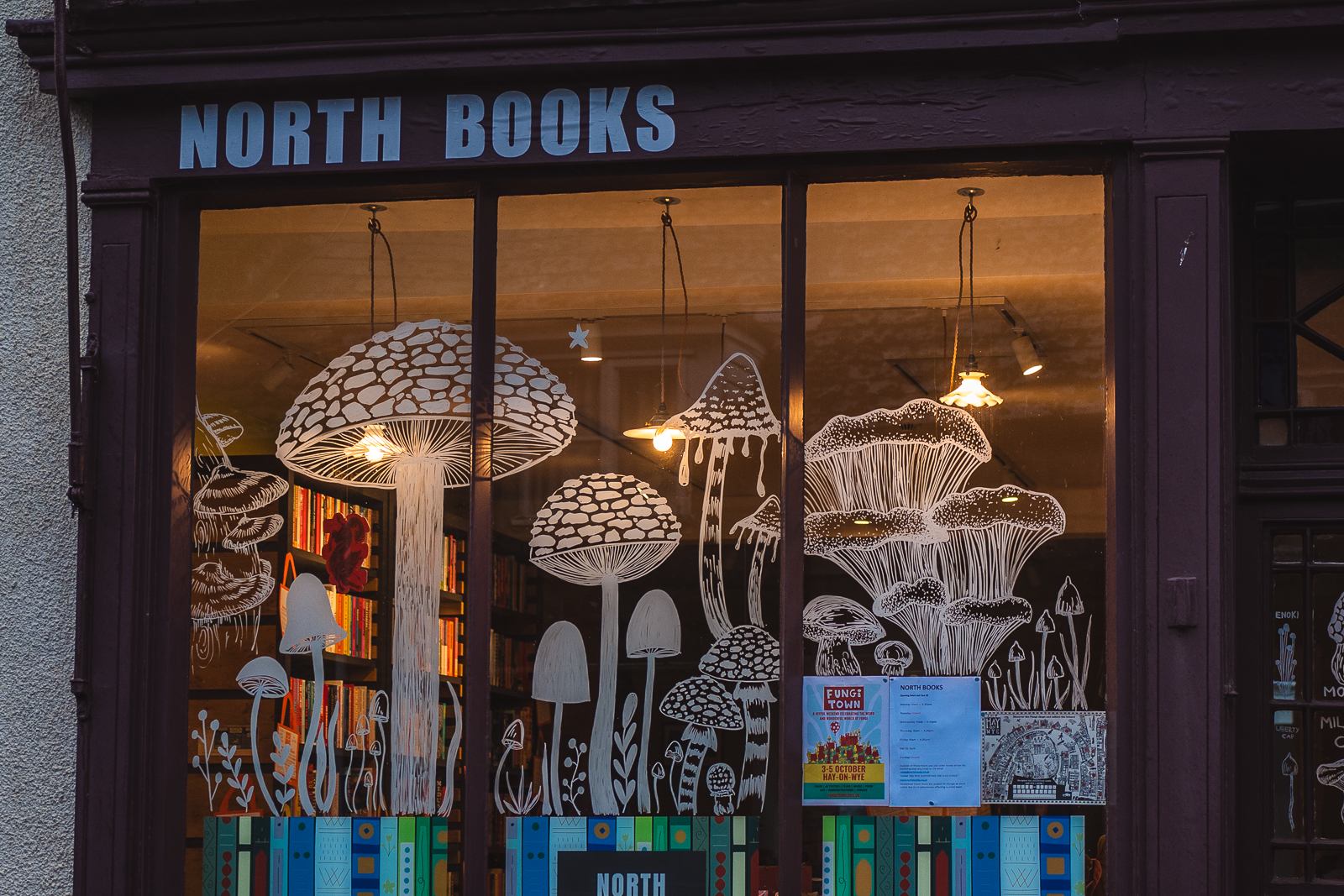 Windows of Fungi Town