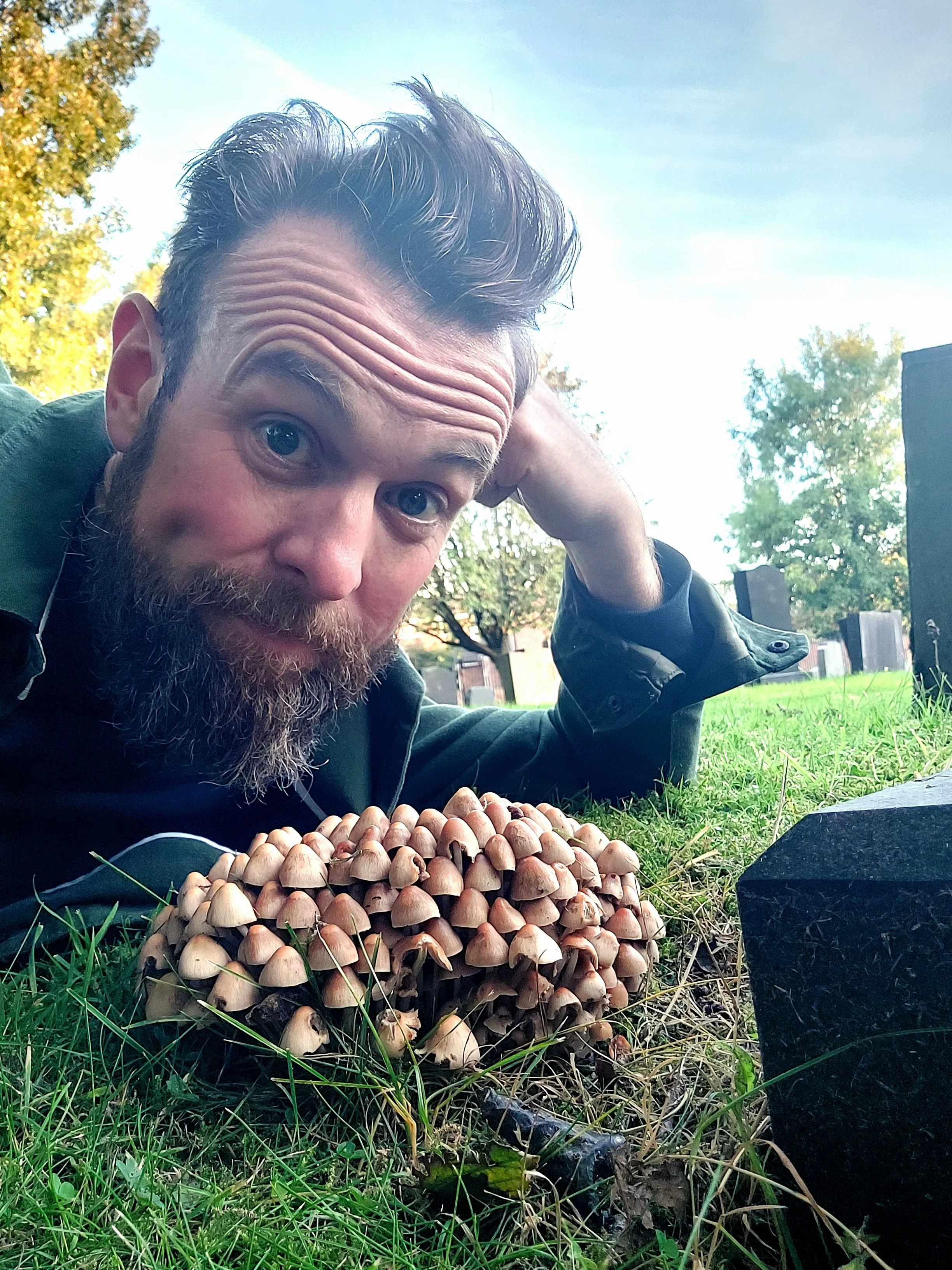 Rotters & Stinkers: a guide to Stinkhorns and other fungal peculiars