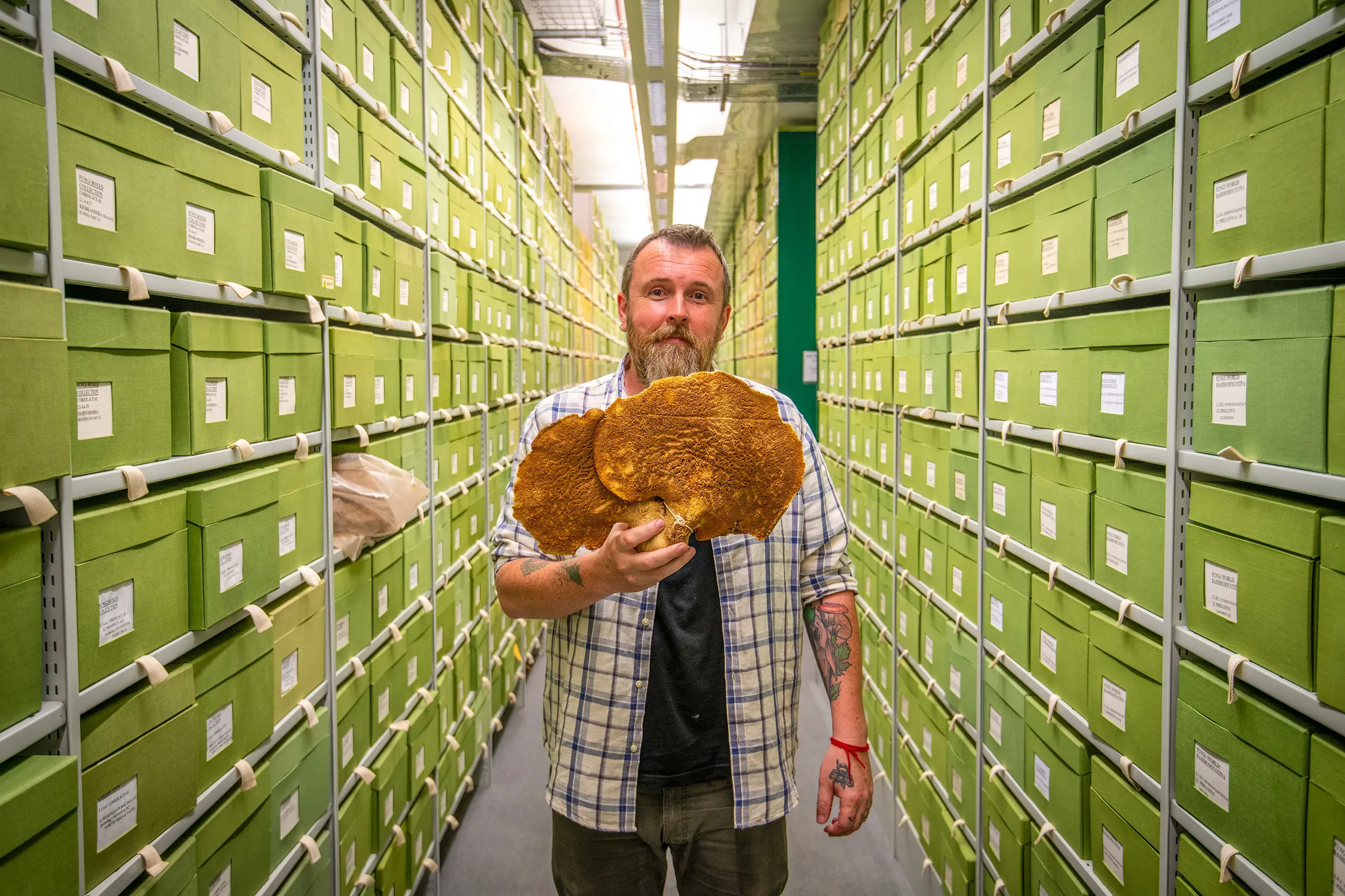 Kew Confidential: Behind the scenes at the world’s largest fungi collection