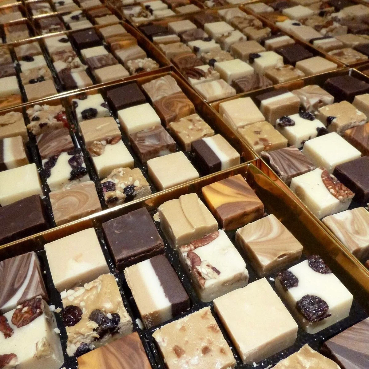 Fungi Fudge
