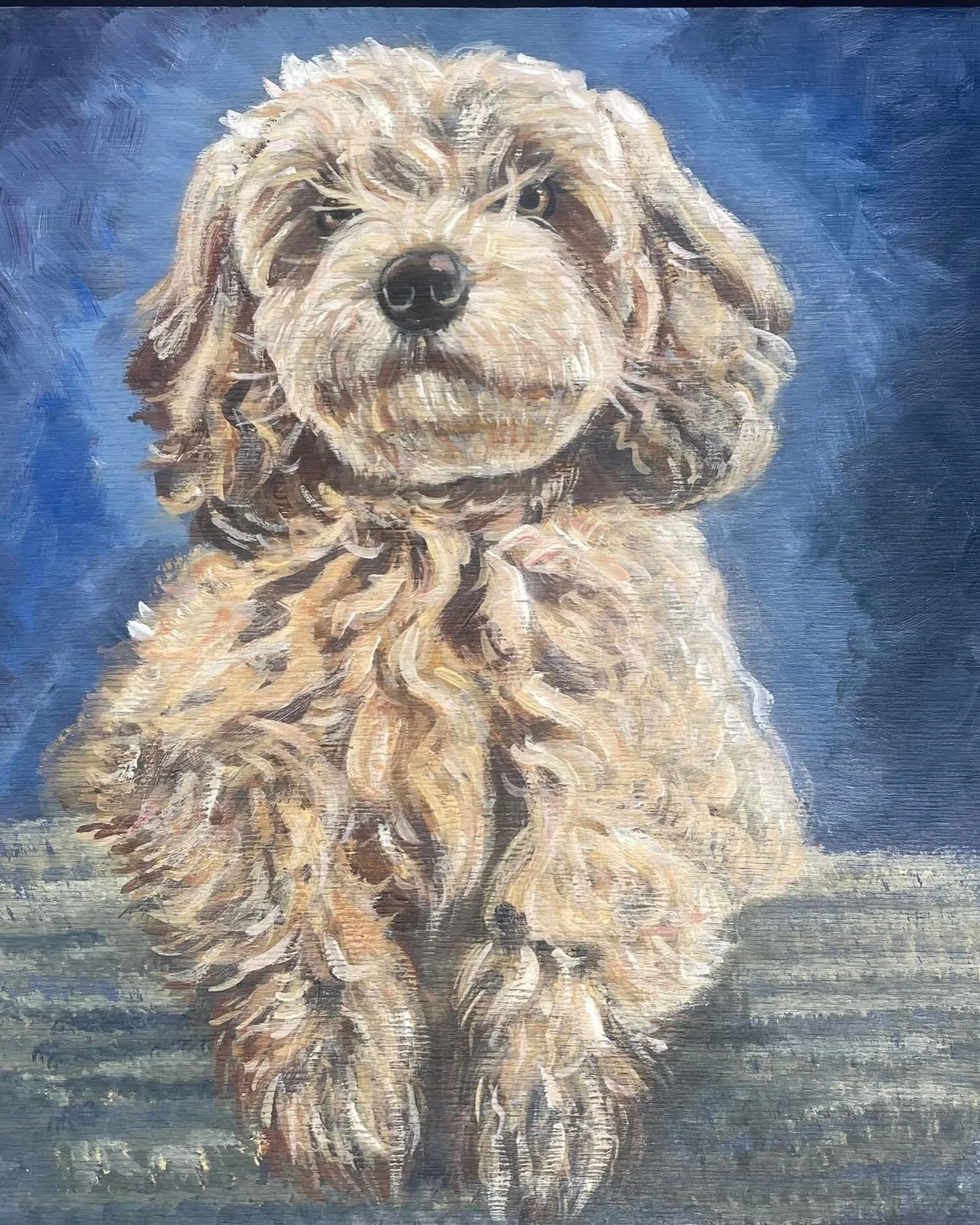 A little dog portrait for a friend. I was trying out water based oil paint on a wooden panel. I started off with a blue background and a light wash then added more detail. It was a bit too absorbent - the wood- so the paint kept vanishing and I reali