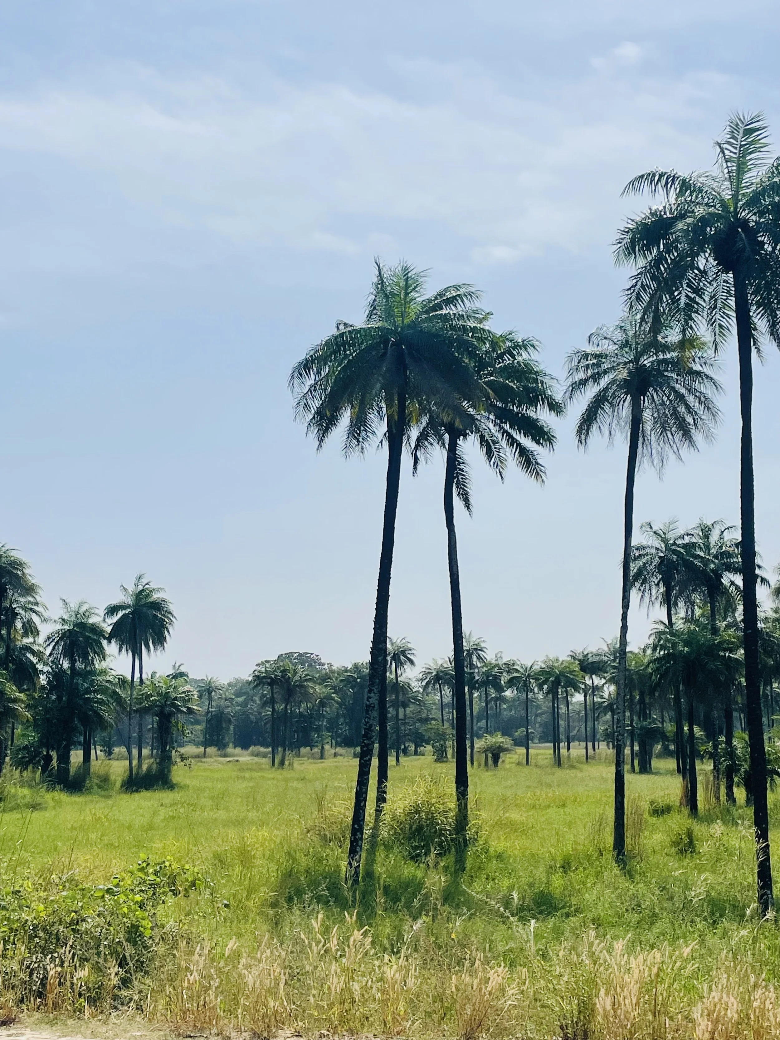 Casamance region in Senegal
