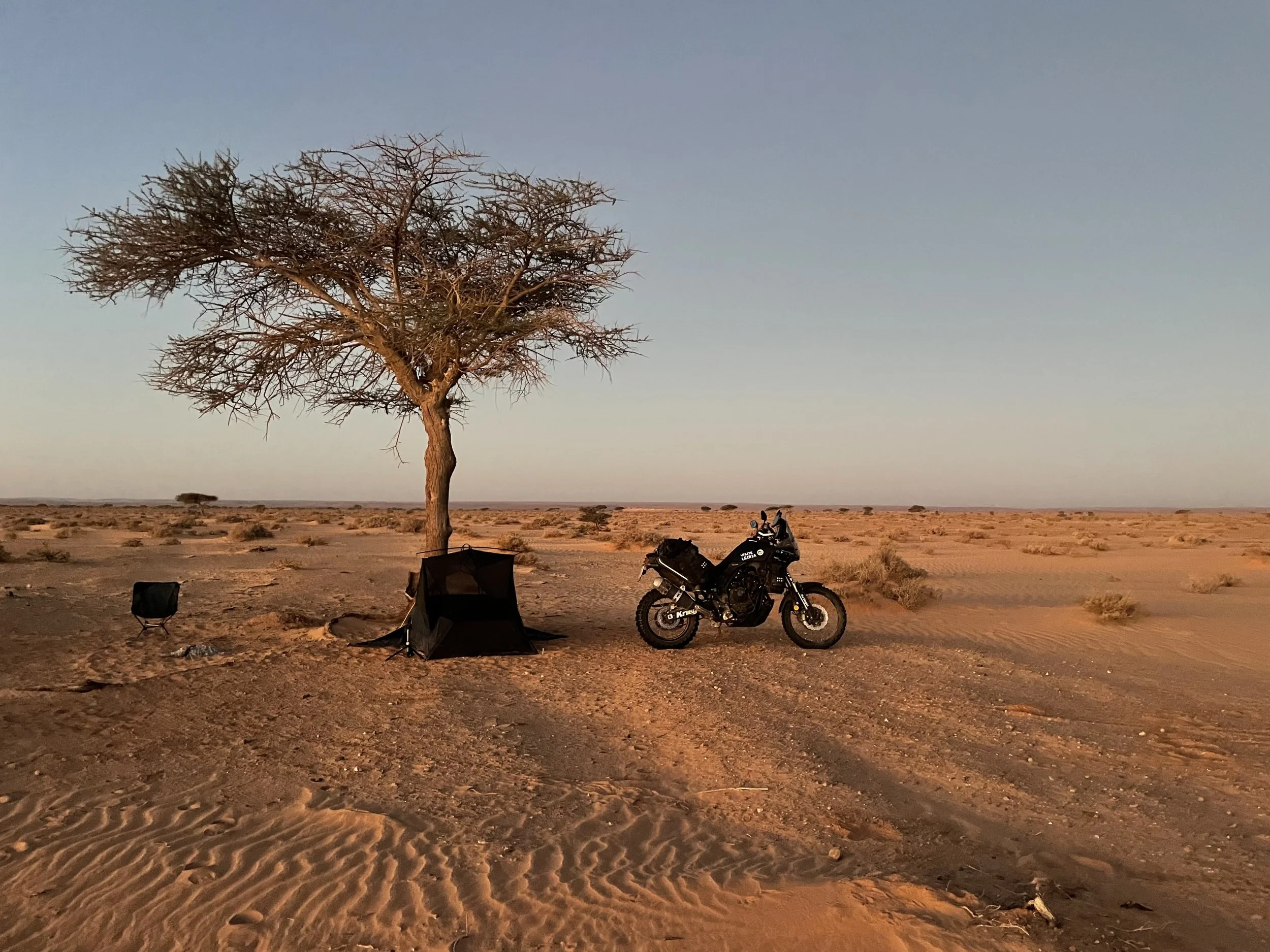 Yamaha Ténére 700 motorcycle camping in sahara desert