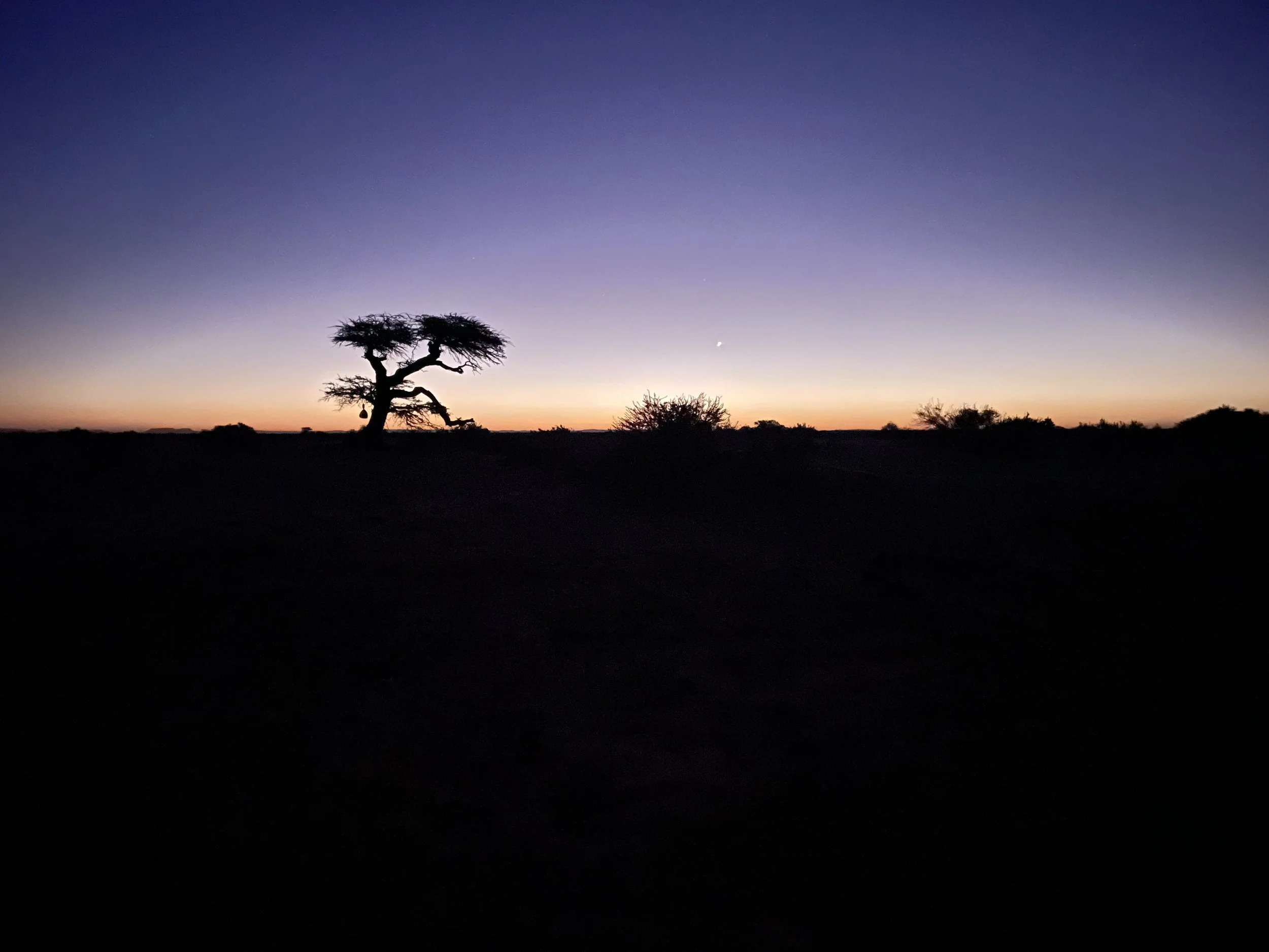 sunrise in the western sahara