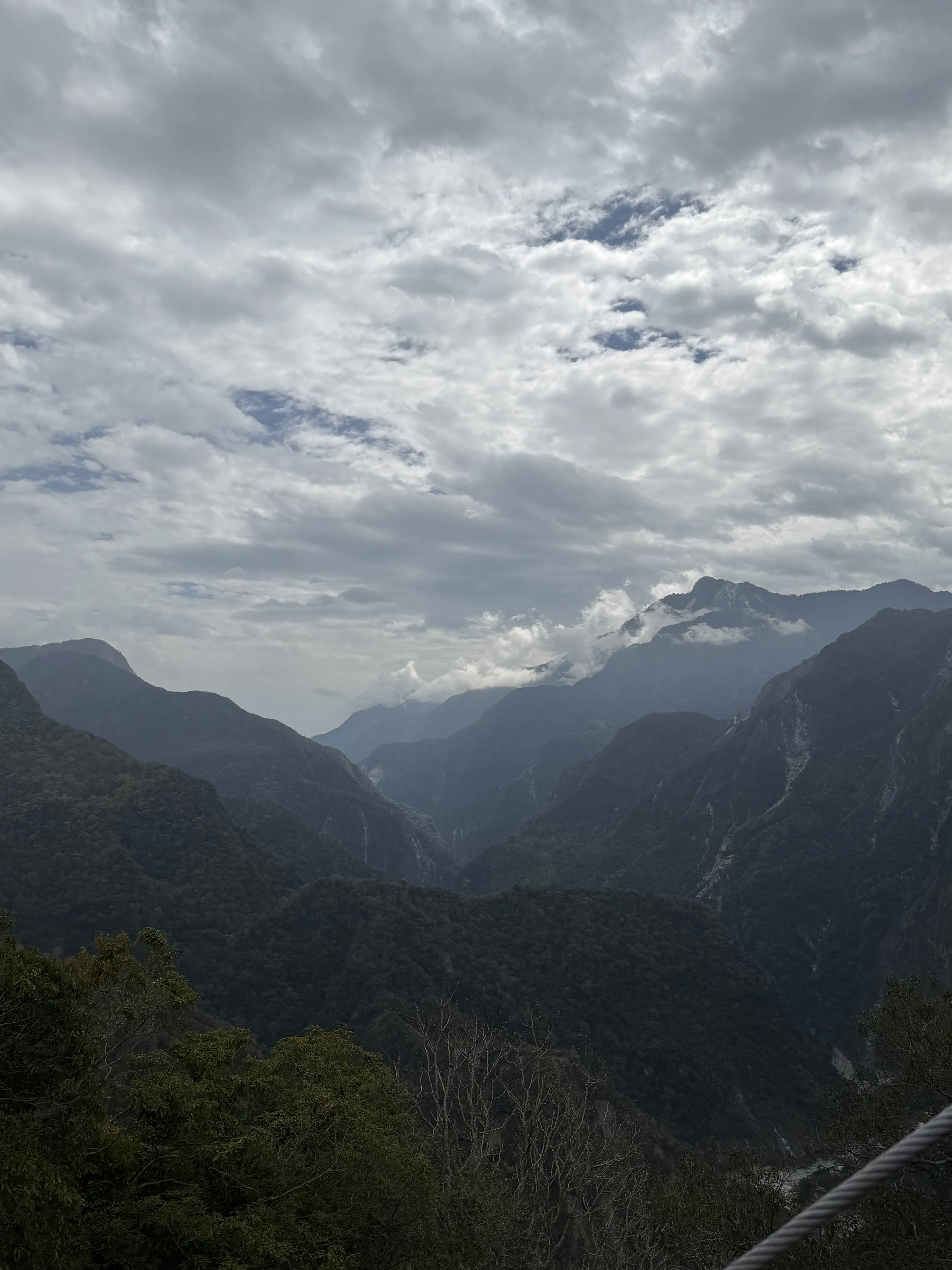 IMG_5389.jpeg