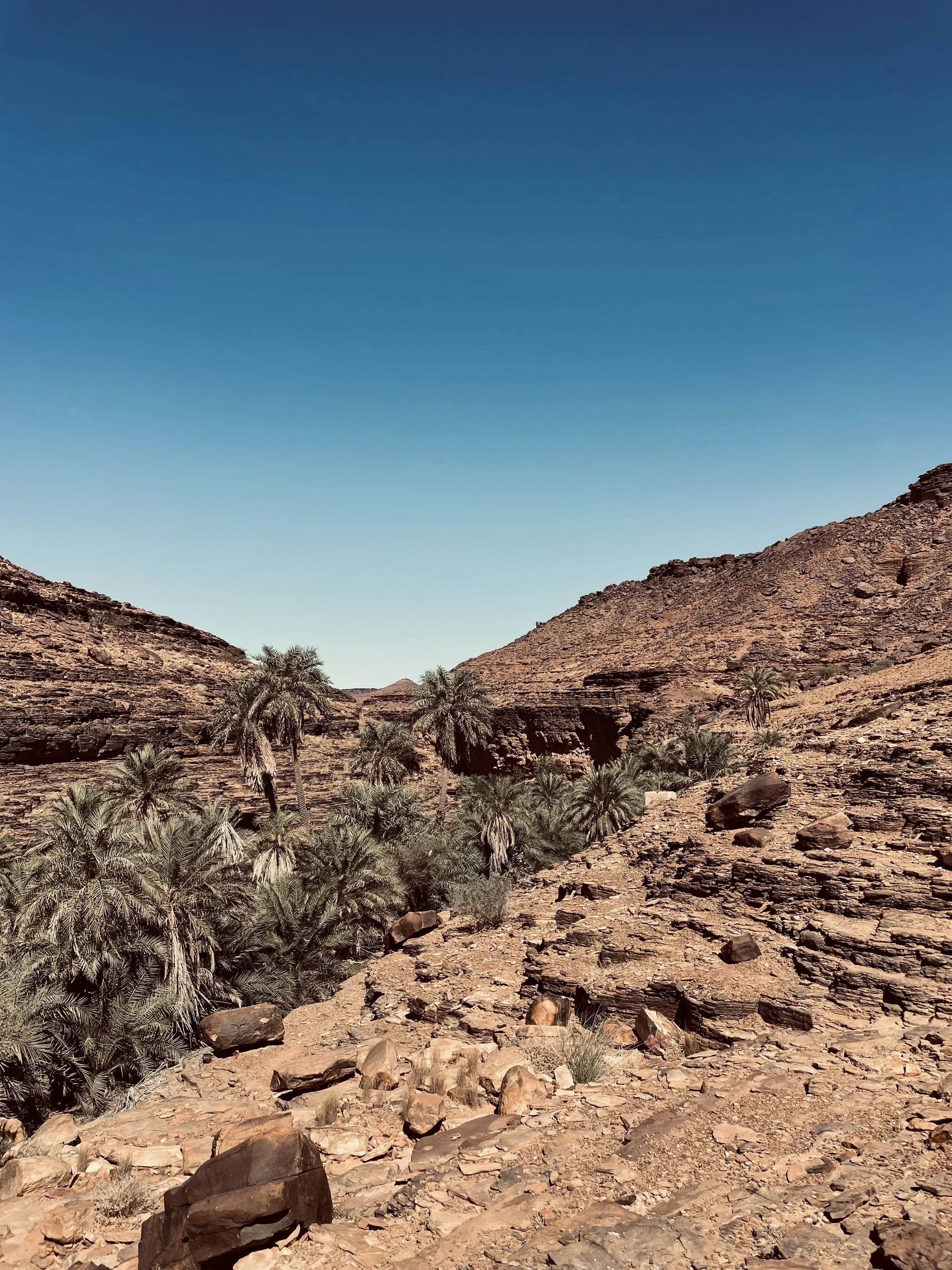 Terjit Oasis in Mauritania