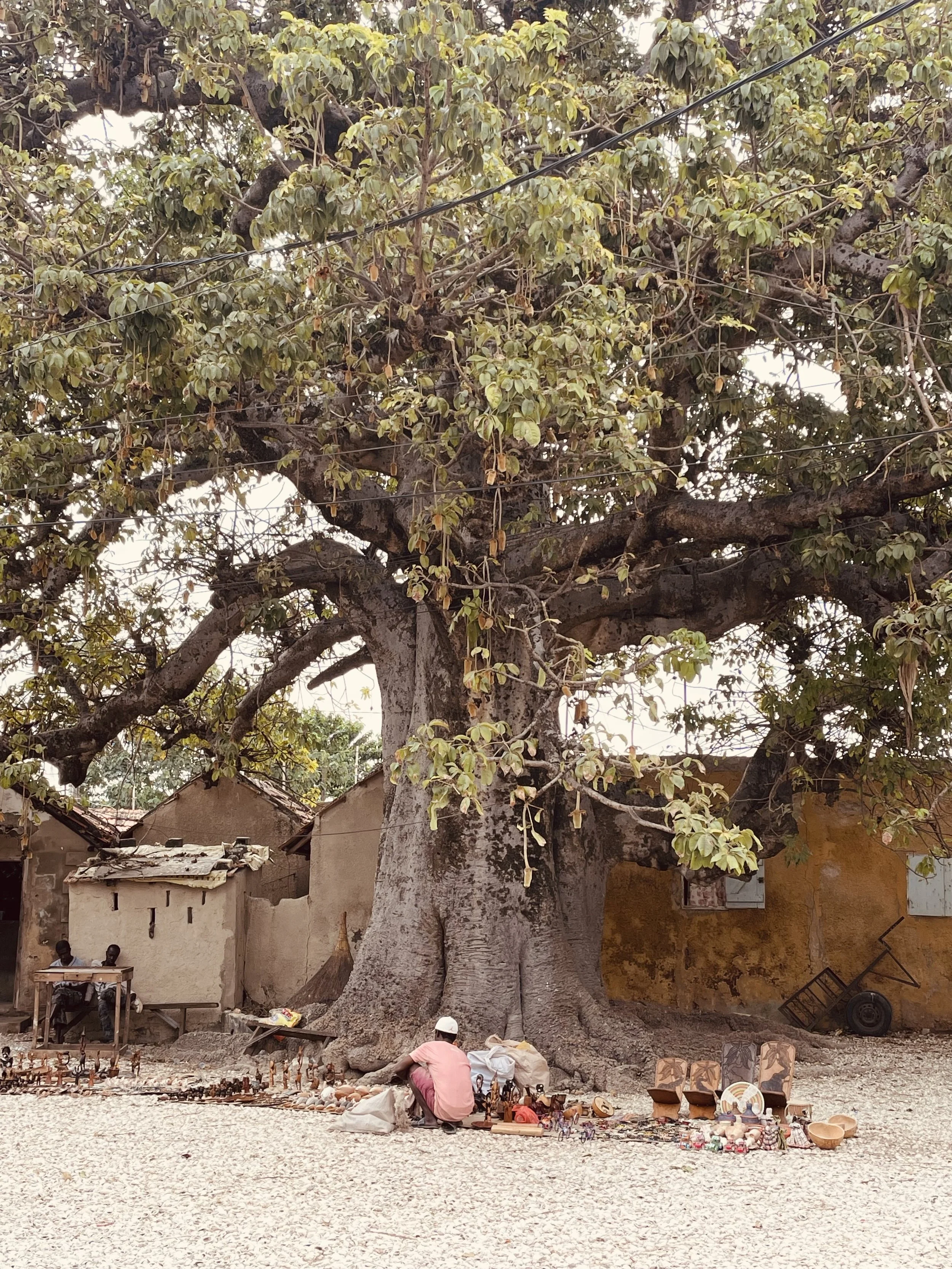 Boa Bao in Joal Fadiouth, shell island, Senegal 