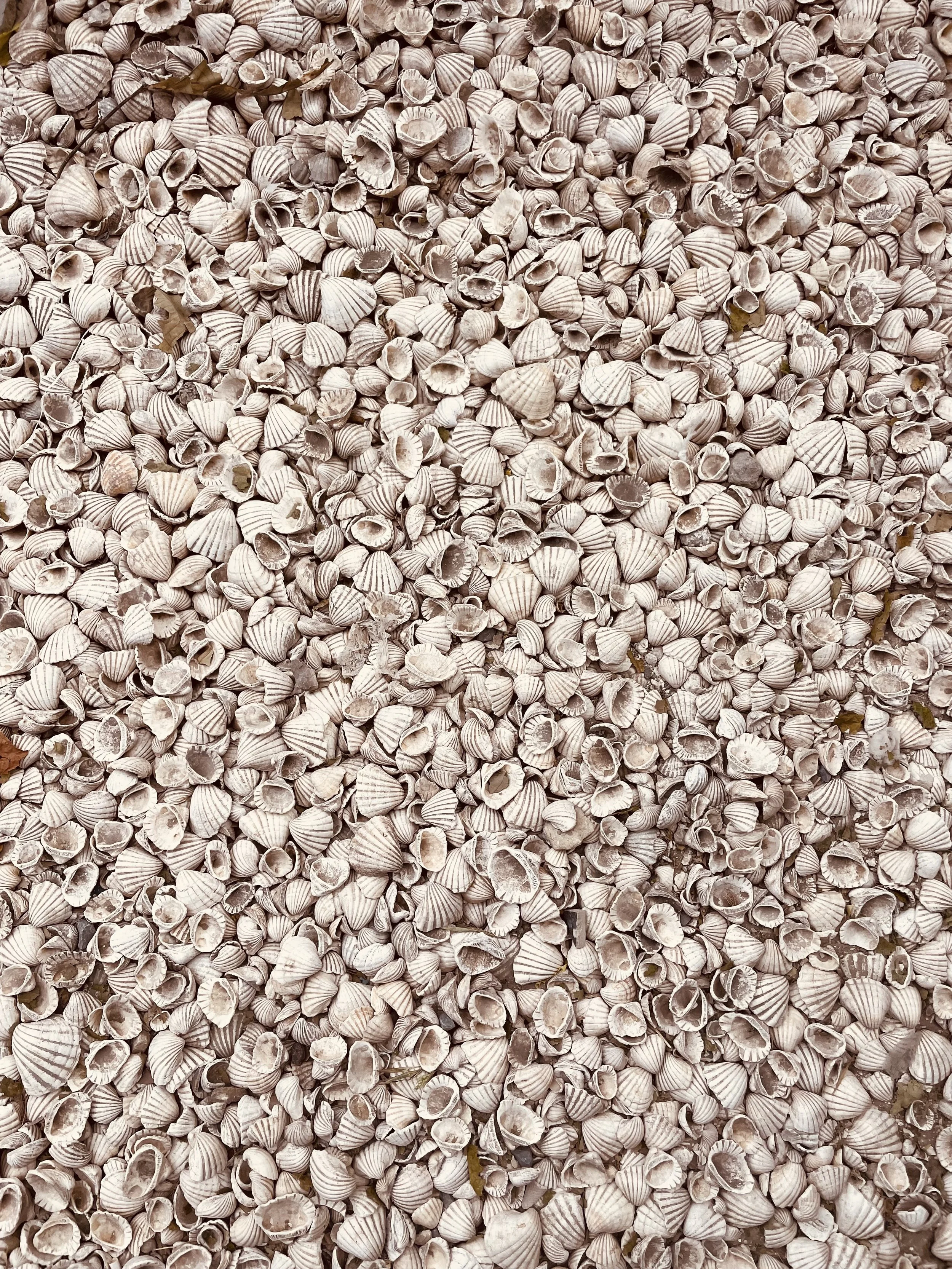 Joal Fadiouth, shell island, Senegal 