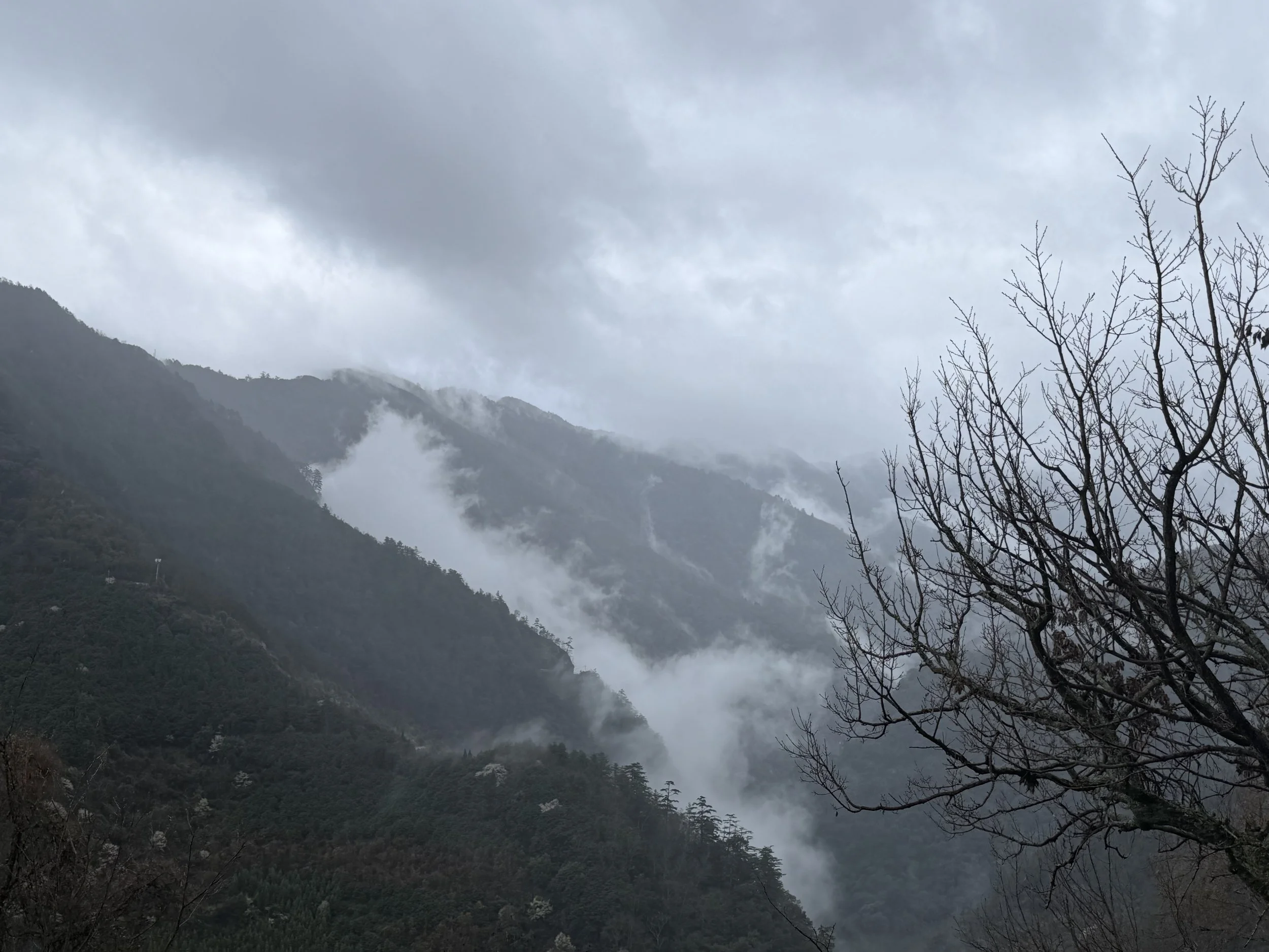 IMG_5815.jpeg