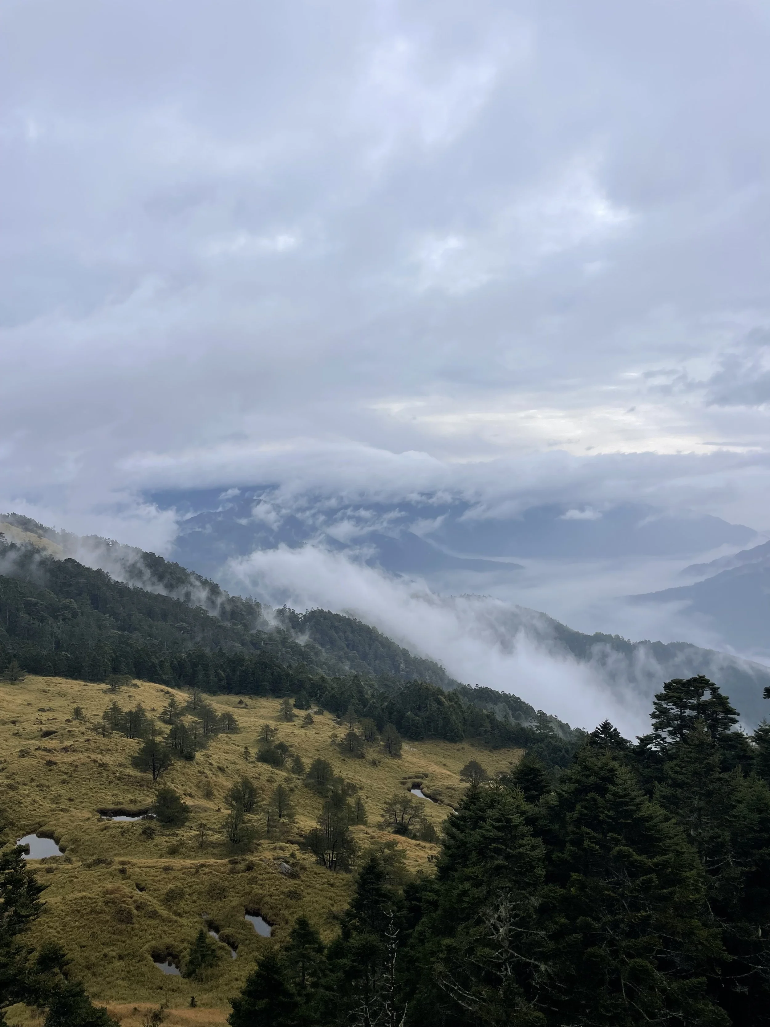IMG_6059.jpeg