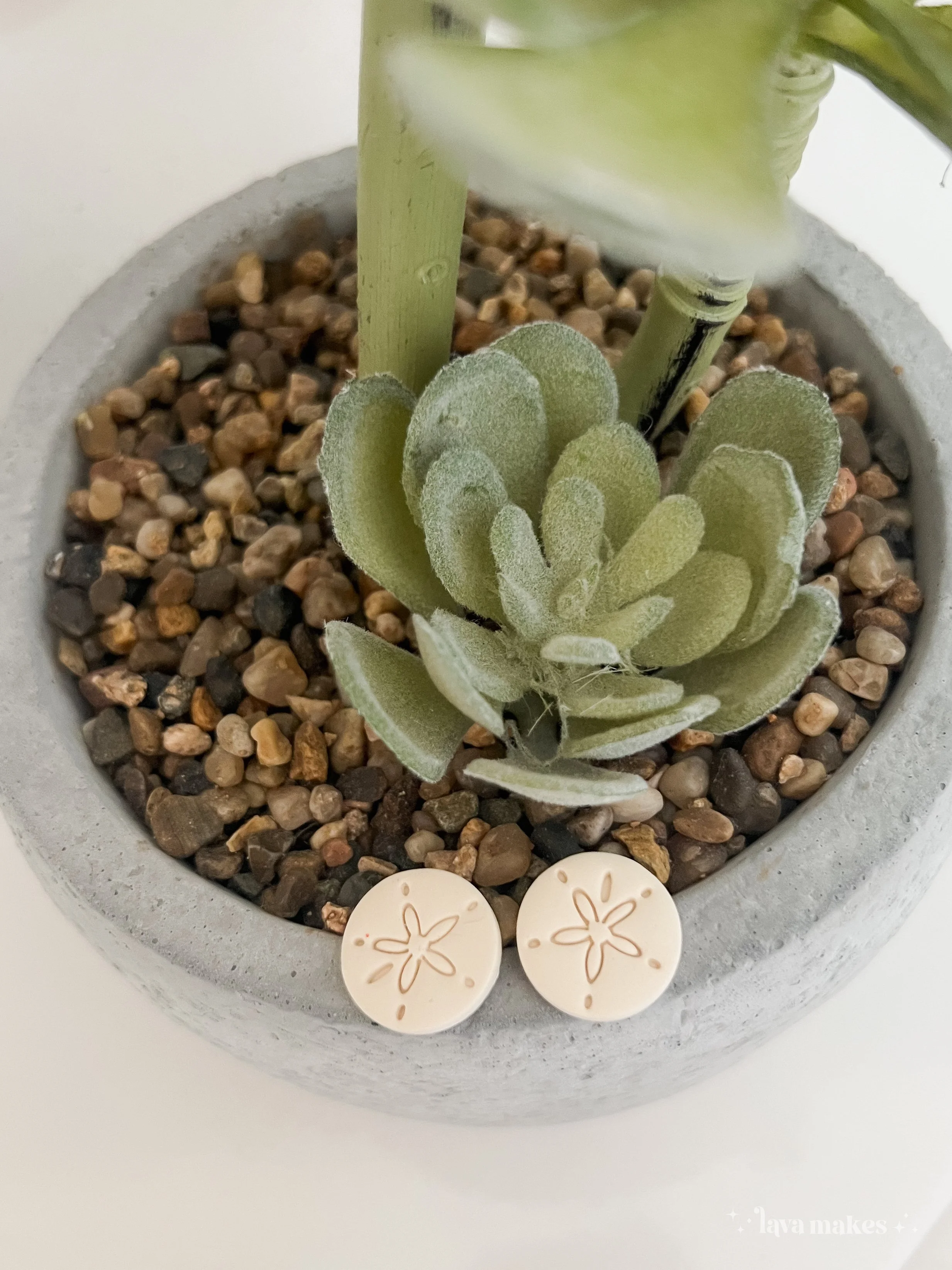 Sand Dollar Studs (Medium Sized) in Cream