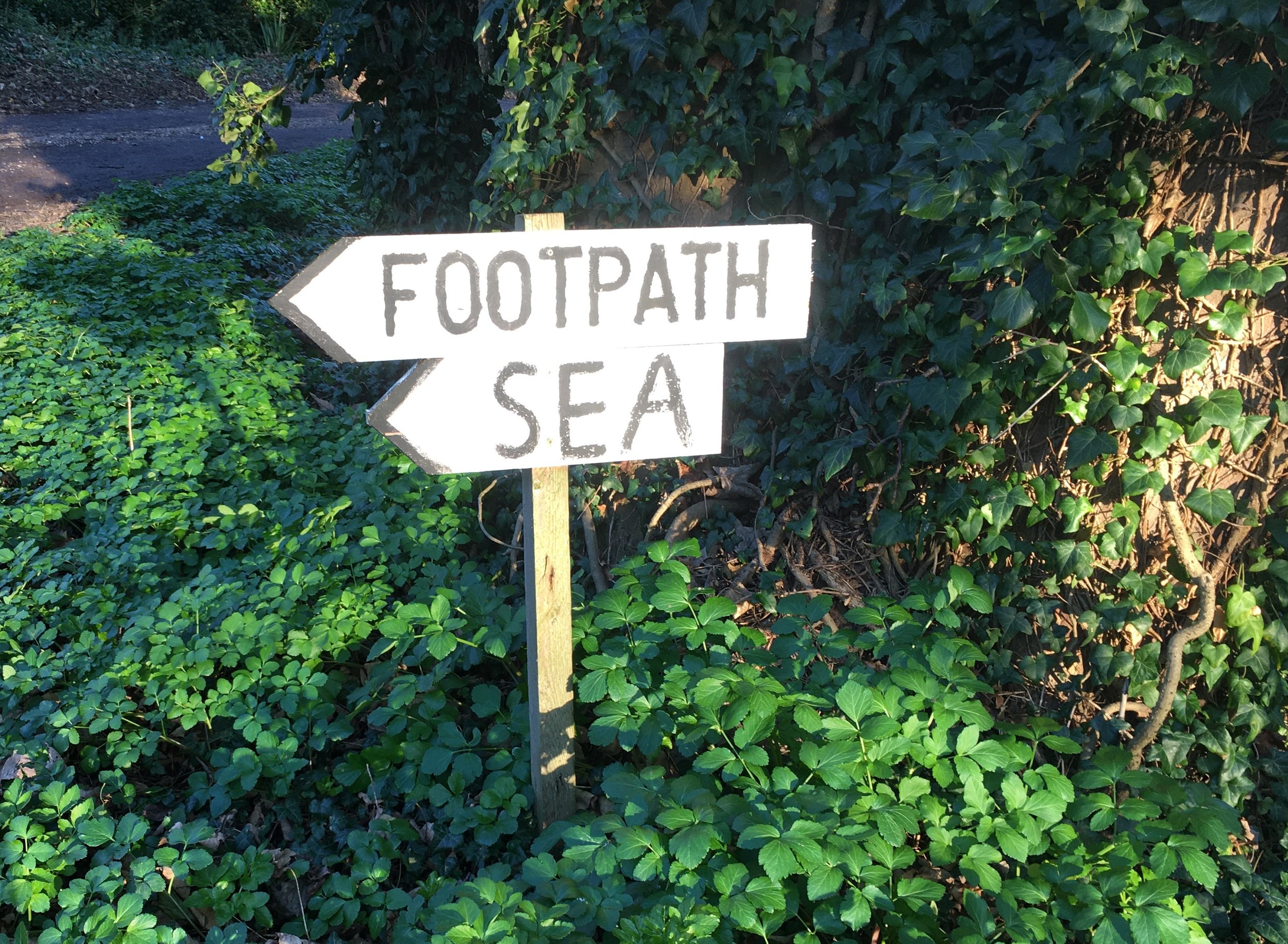 The Search for Shuart