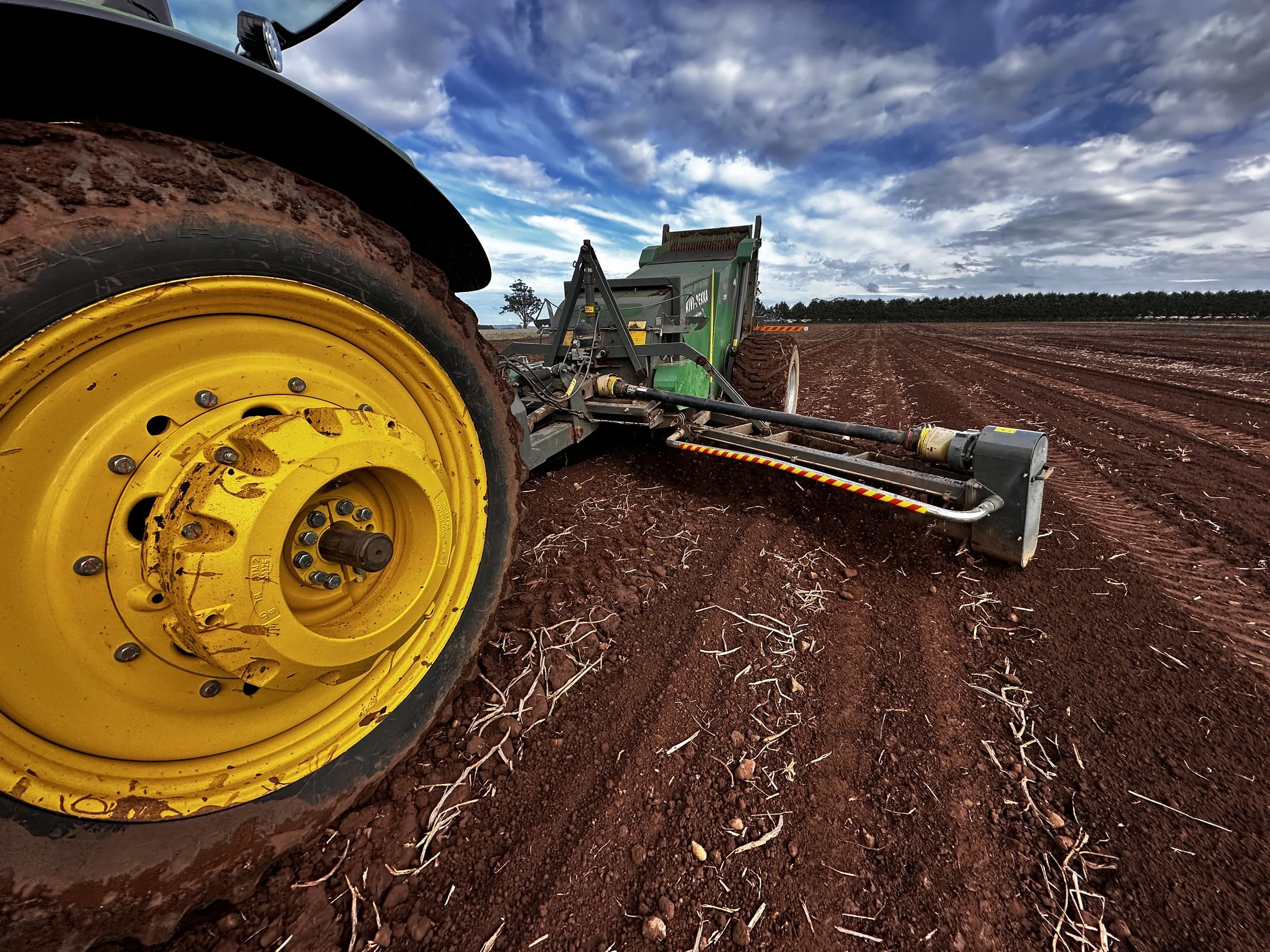 Xavier Toohey's Kivi-Pekka 6 picking rocks in a spud paddock