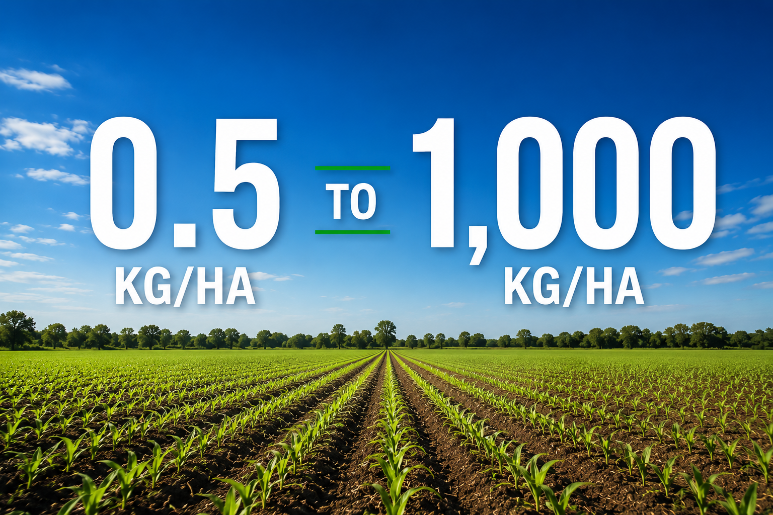 Agricultural field with young crops under a blue sky, overlaid with text indicating fertilizer application rates from 0.05 to 1,000 kilograms per hectare.