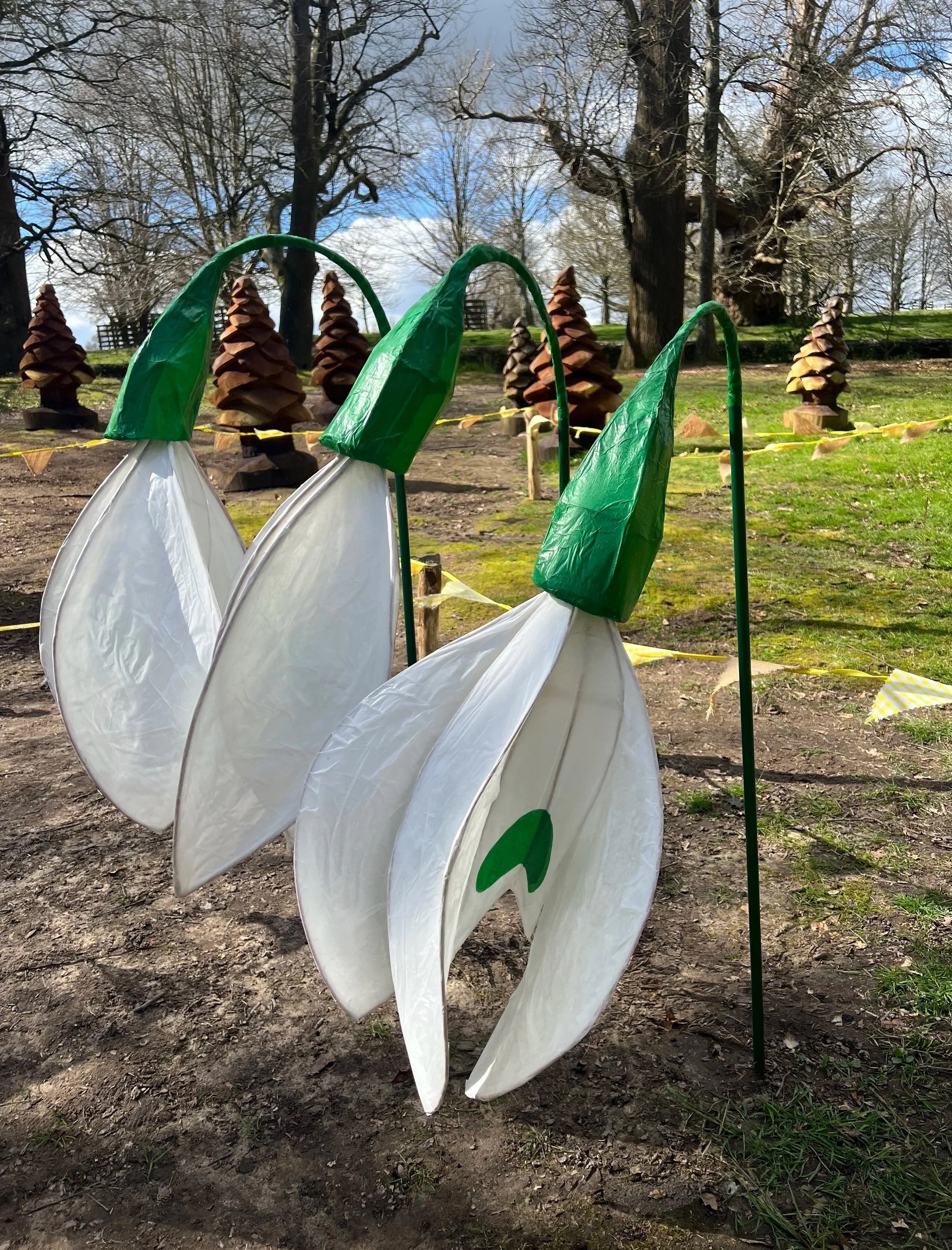 snowdrops.jpg
