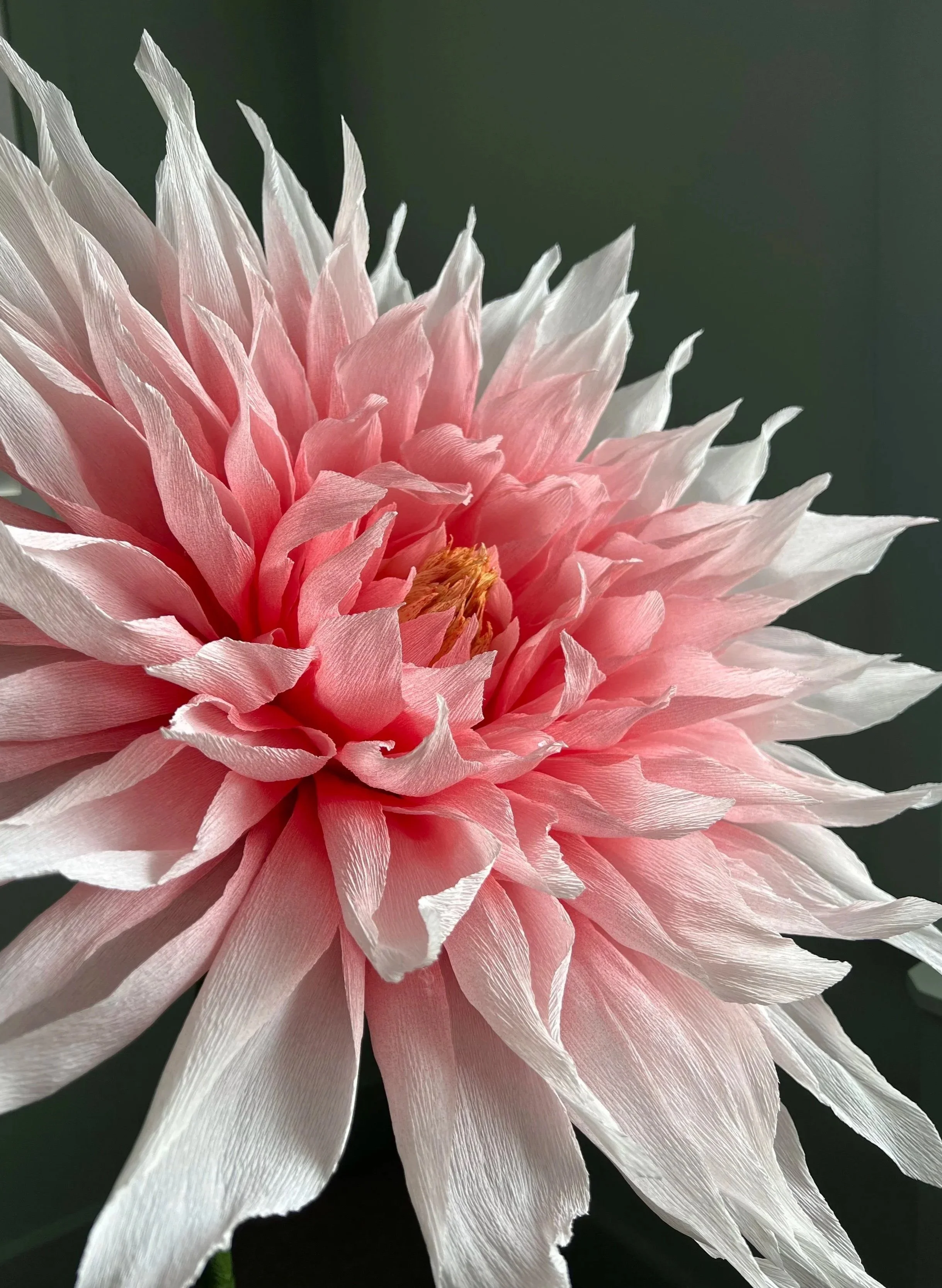Flowers_3.jpg