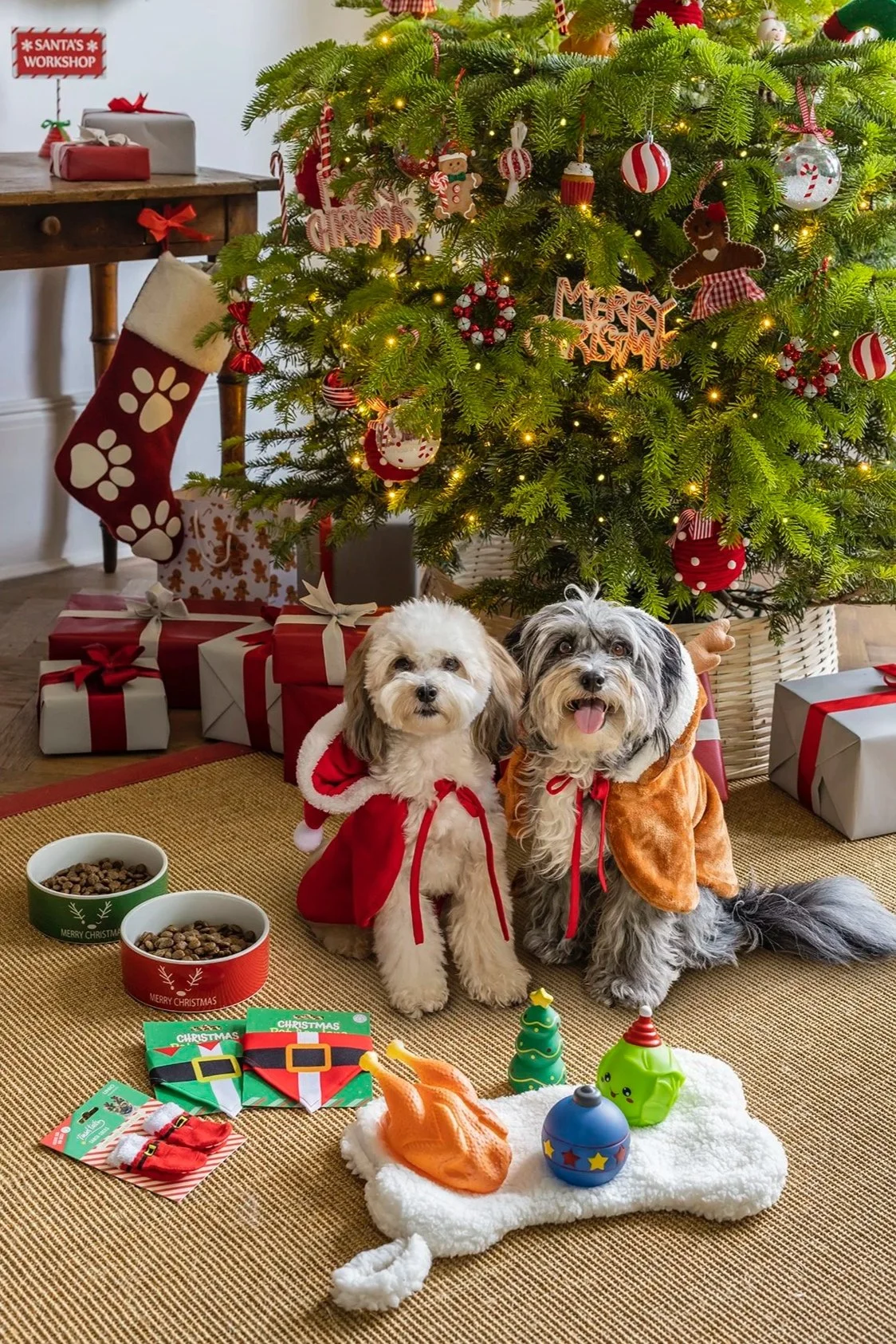 PET_GIFTING.jpg