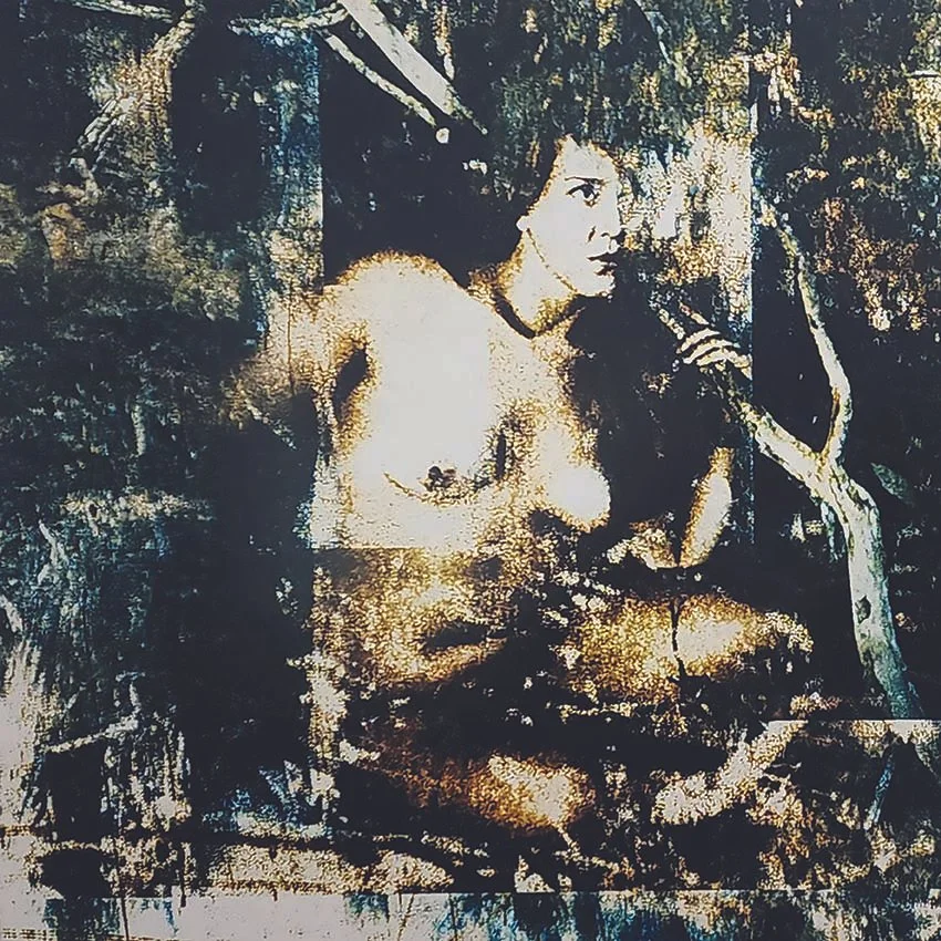 Caitlin Kozman - Intact - Hero of work.jpg