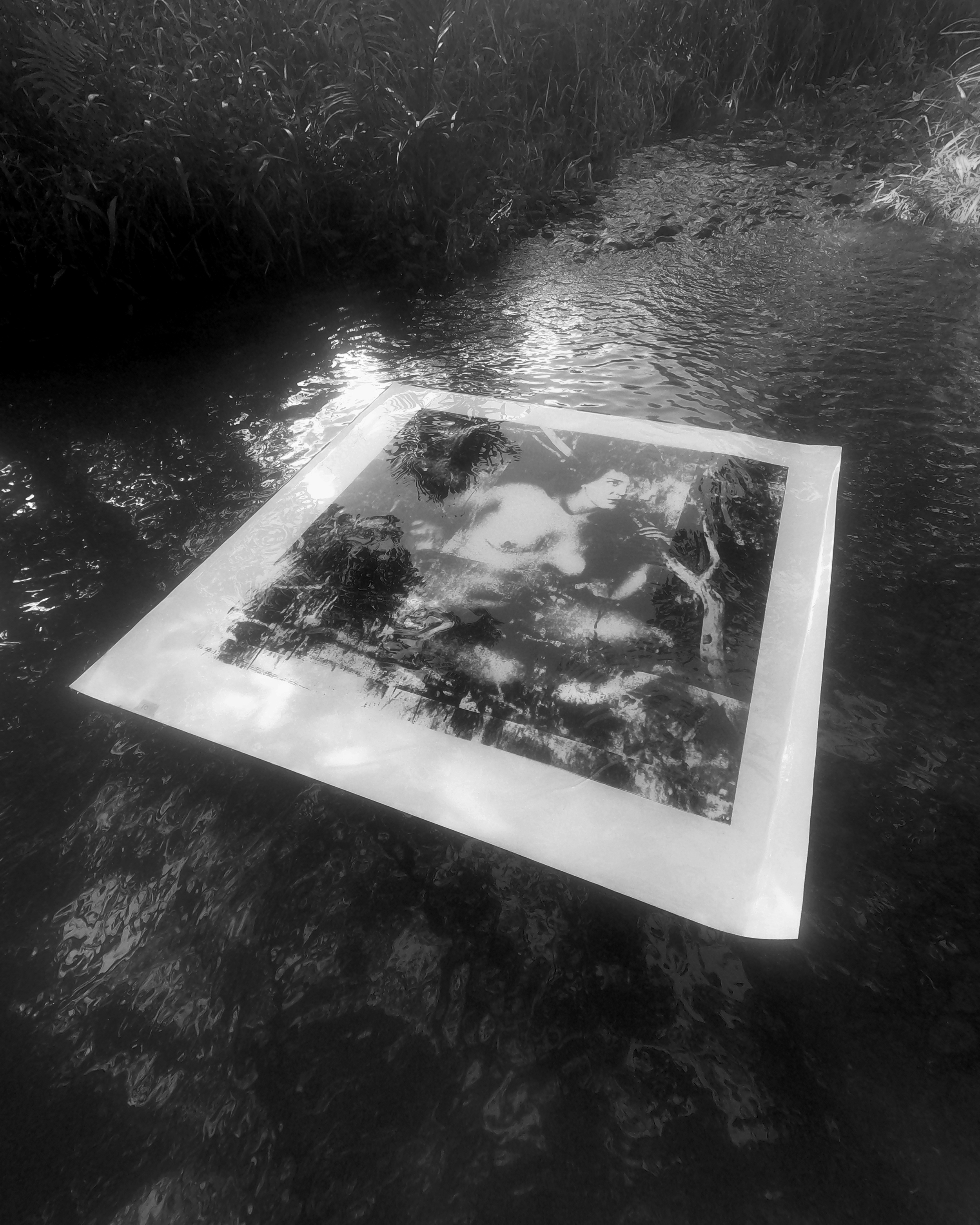 A black and white photograph of a river or stream running through a natural setting with grass and plants on the banks. A photograph featuring a female figure within a dark forest-like space is floating on the water.