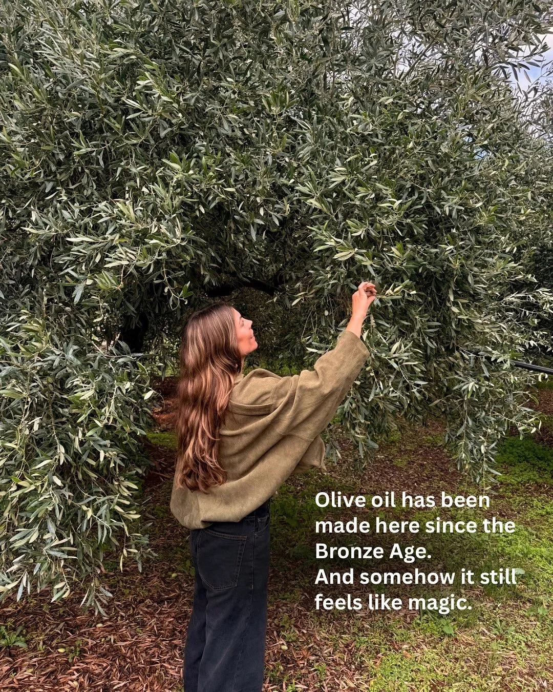 Brb, off to become an olive oil sommelier 🫒🫒🫒🫒

Save this post so you know what to look for when choosing a quality extra virgin olive oil (EVOO) - it makes a difference.

And send it to someone who still thinks you can&rsquo;t cook with EVOO 😏

