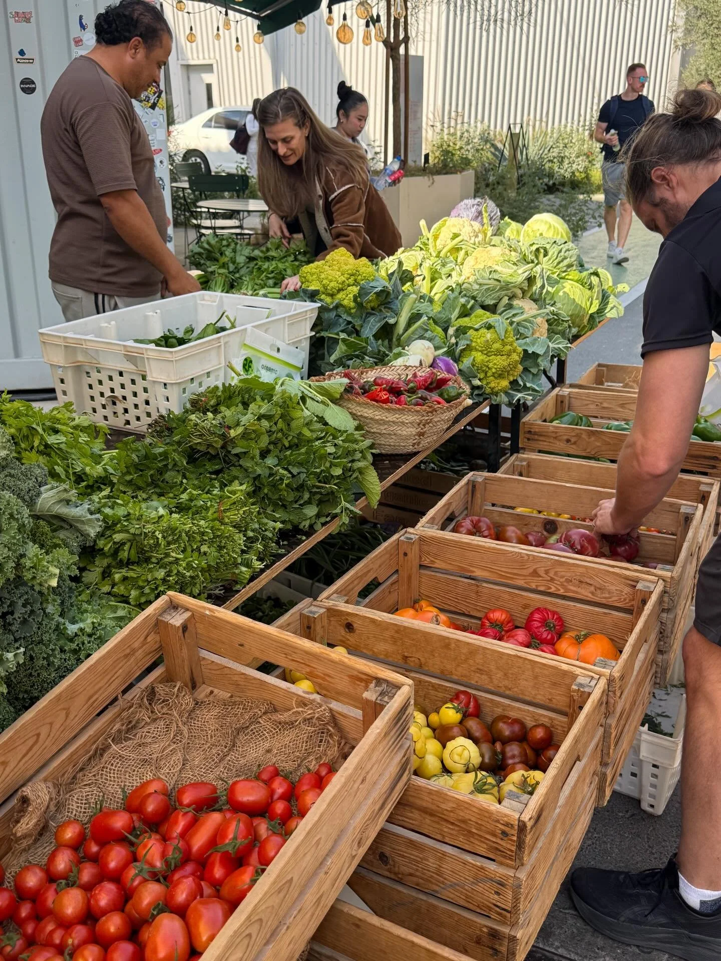 Jan-Feb here in Dubai. I can&rsquo;t believe it has almost been a whole year since moved here 🥹 - still feels so surreal. Can confirm winter in UAE is divine, food markets, desert adventures, stun sunrises/sets, outdoor dinners, lotsa nature, 1/2 ma