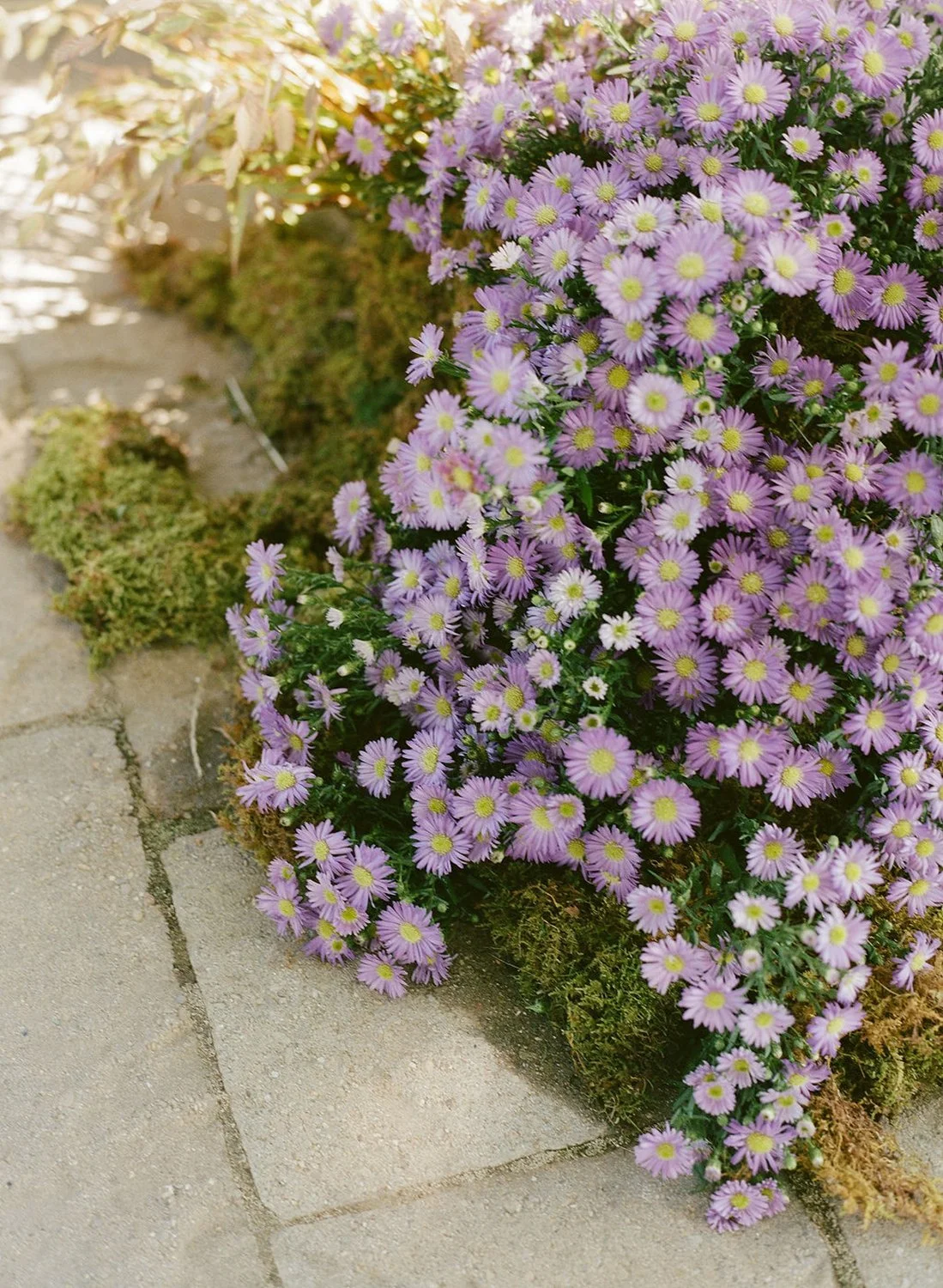 grassy-ceremony-aisle-wedding-rustic-vintage-ethereal-floral-design-florist-art-modern-eclectic