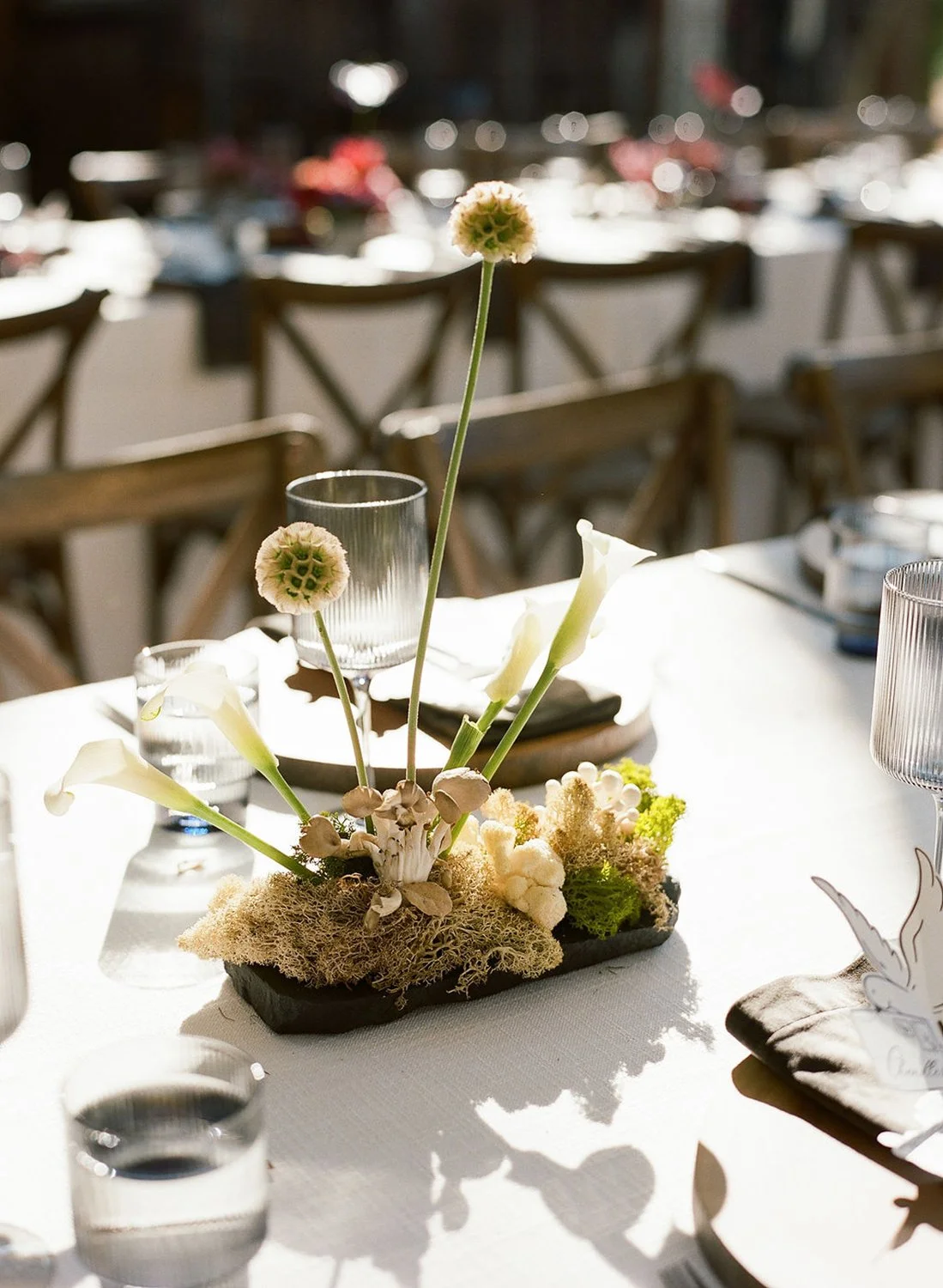 reception-wedding-banquet-tables-still-life-art-floral-design-napa-fungi-moss-mushrooms-japanese-style-still-life-art-trendy