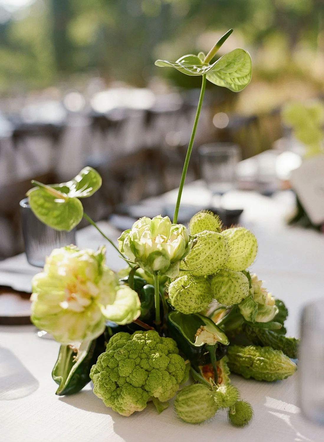 reception-wedding-banquet-tables-still-life-art-floral-design-napa-vegetable-hills-cabbage-roses-anthuriums-modern-trendy