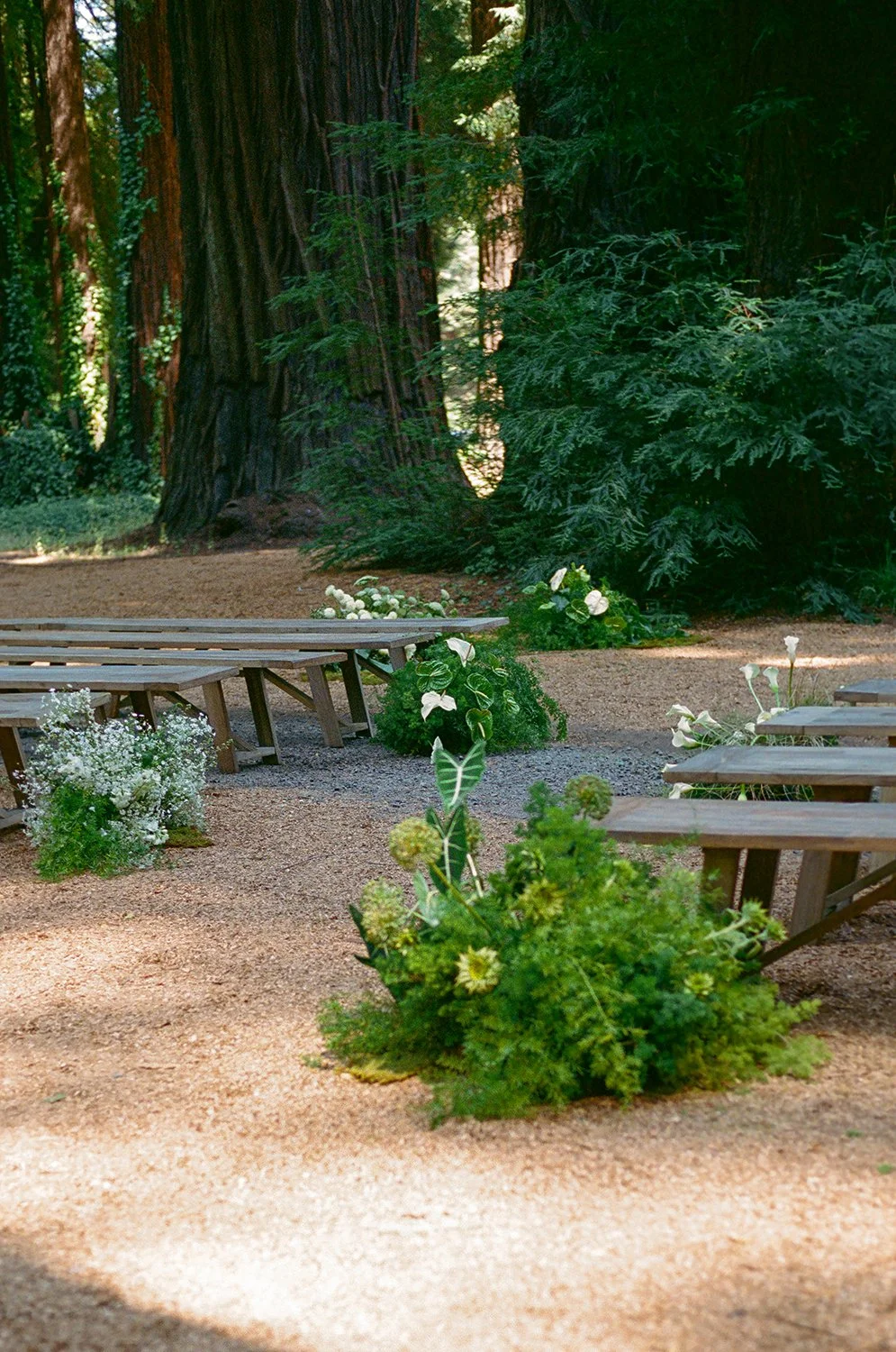 ceremony-flower-markers-ground-arrangements-floral-design-redwoods-florist-botanical-modern-organic