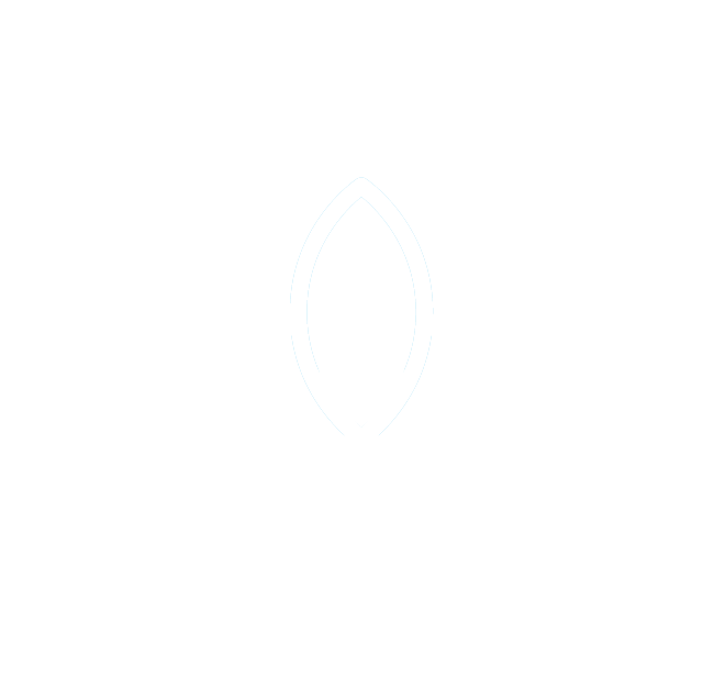 Lotusblomst som symbol på ro, balanse og tilstedeværelse