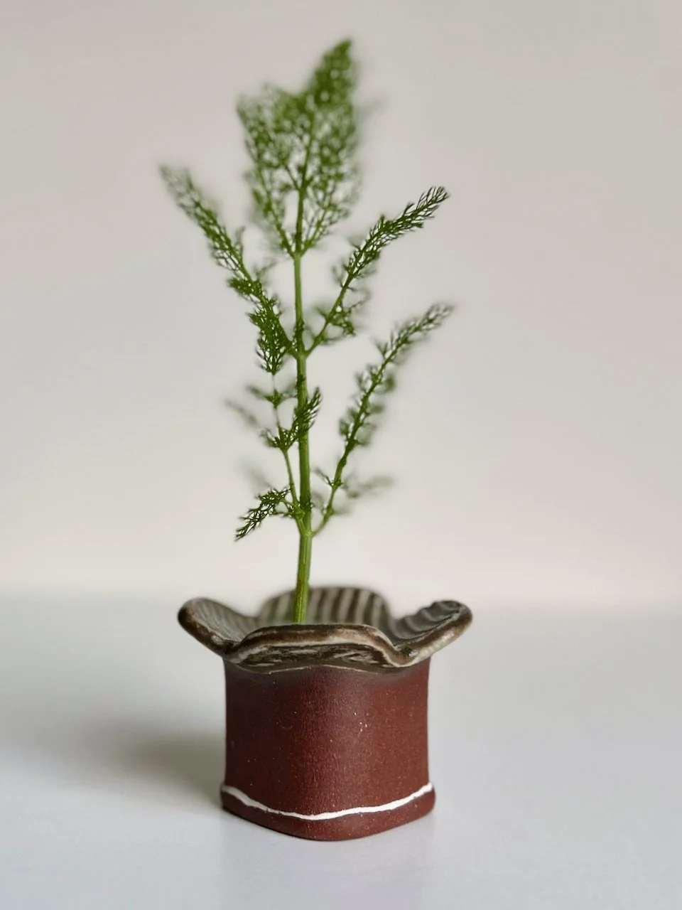 MFB009 - 3 of 4.jpeg