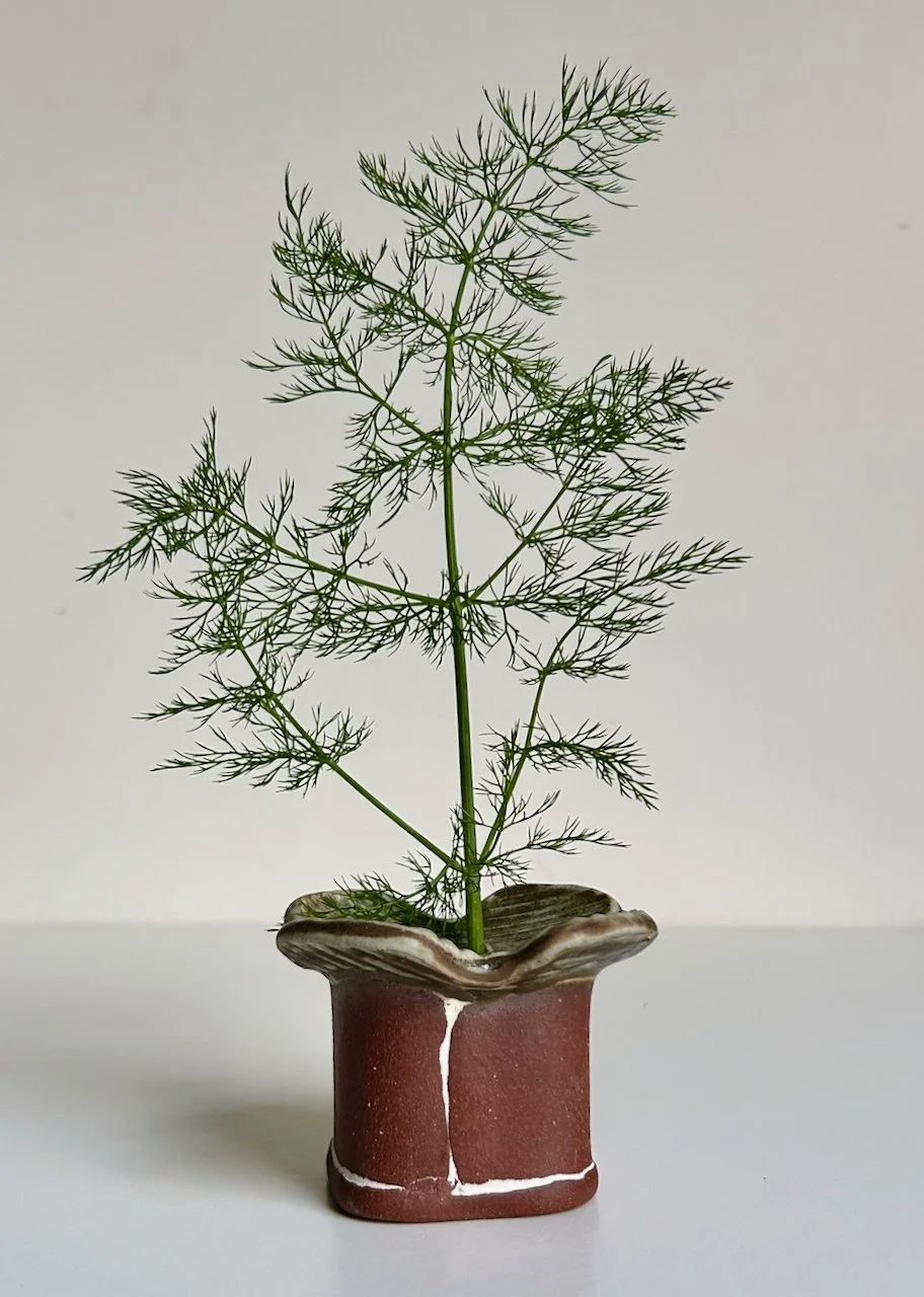 MFB009 - 2 of 4.jpeg