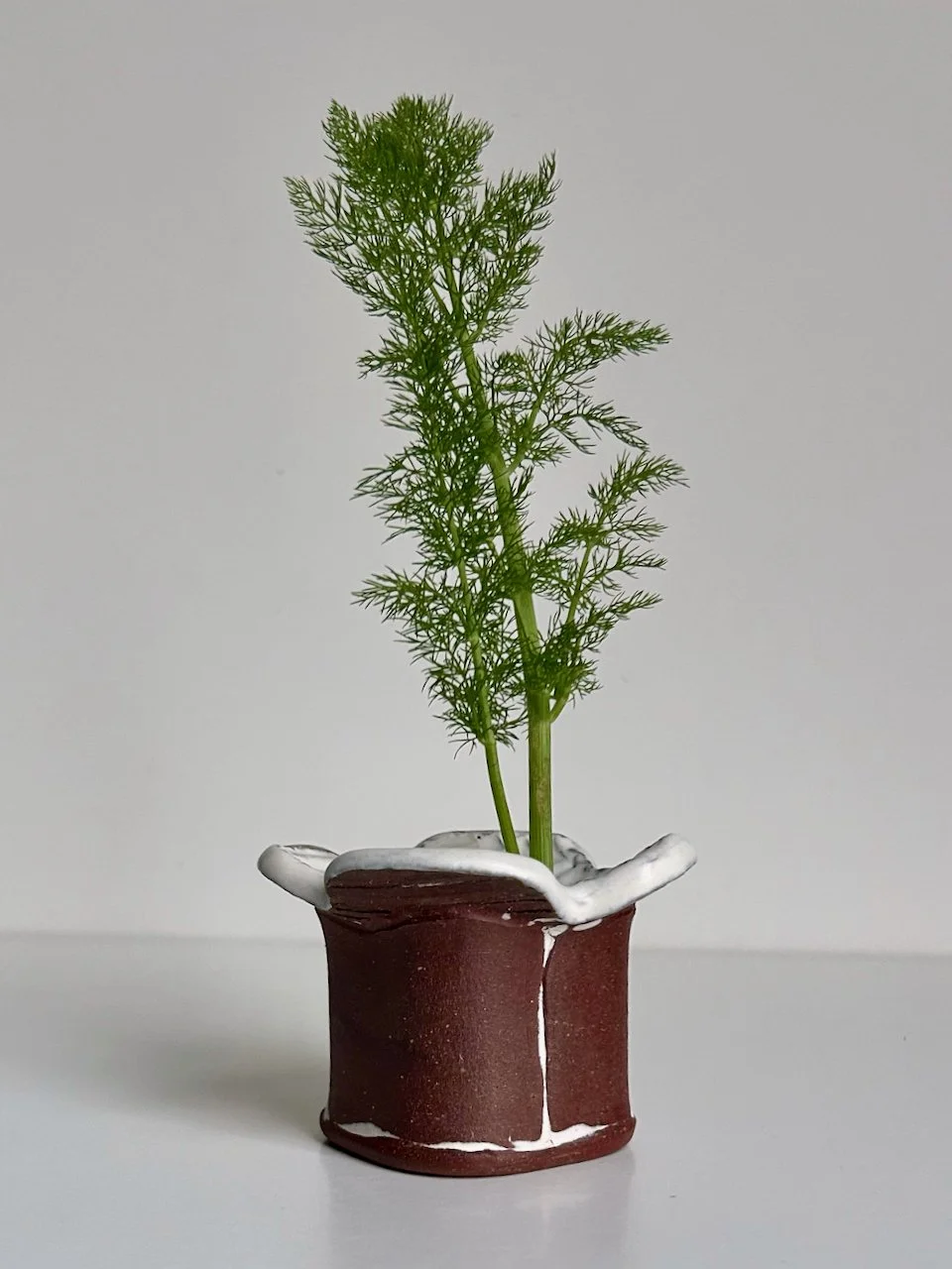 MFB011 - 2 of 4.jpeg