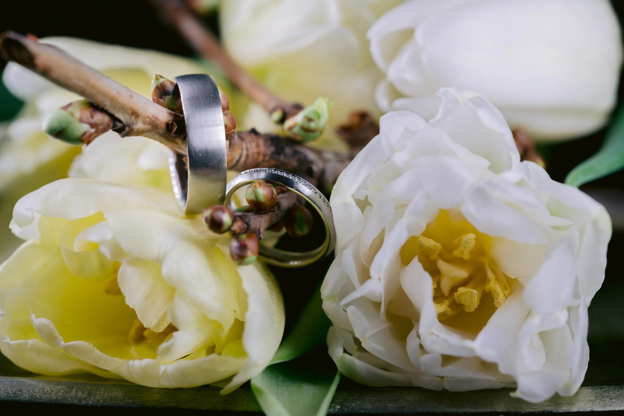 iStock-1295938071.jpg