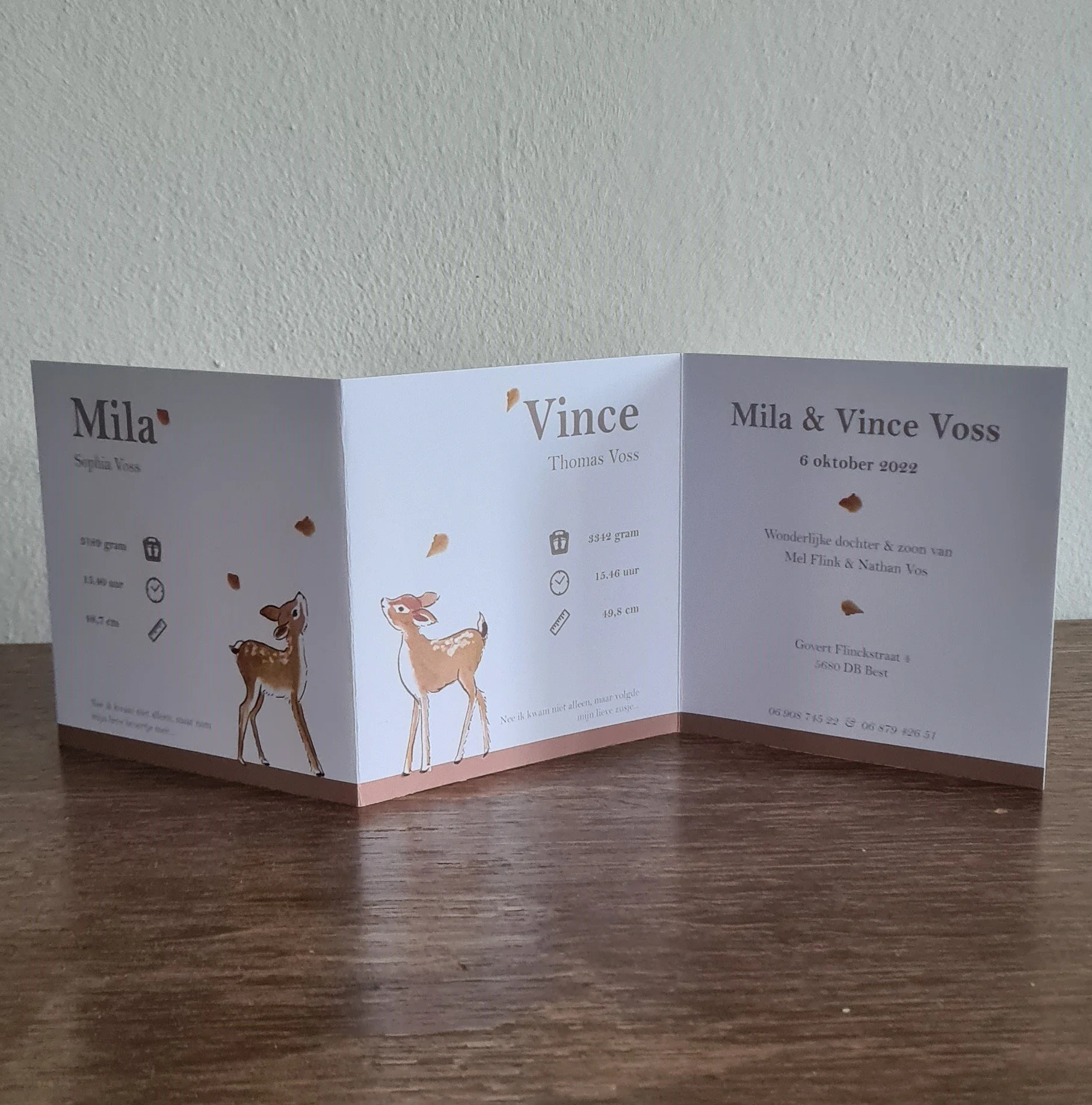 geboortekaart mila & vince