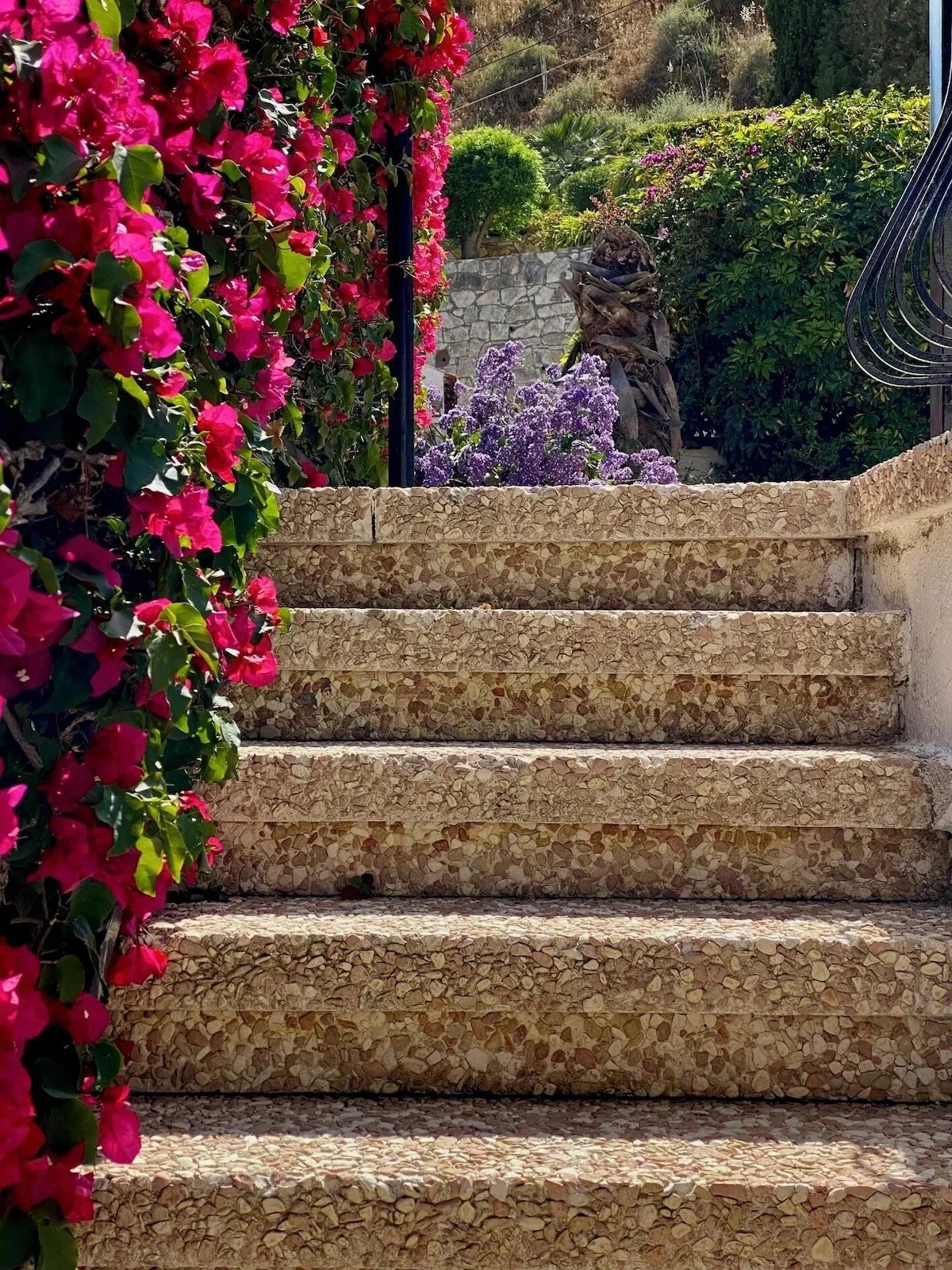 Stairs leading up to the pool surrounded by colorful flowering plants.