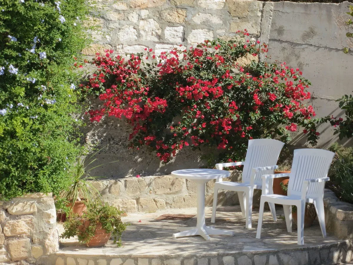 A small patio with two white plastic chairs, a white plastic table, potted plants, and a large flowering Bougainvillea bush with pink flowers against a stone wall.