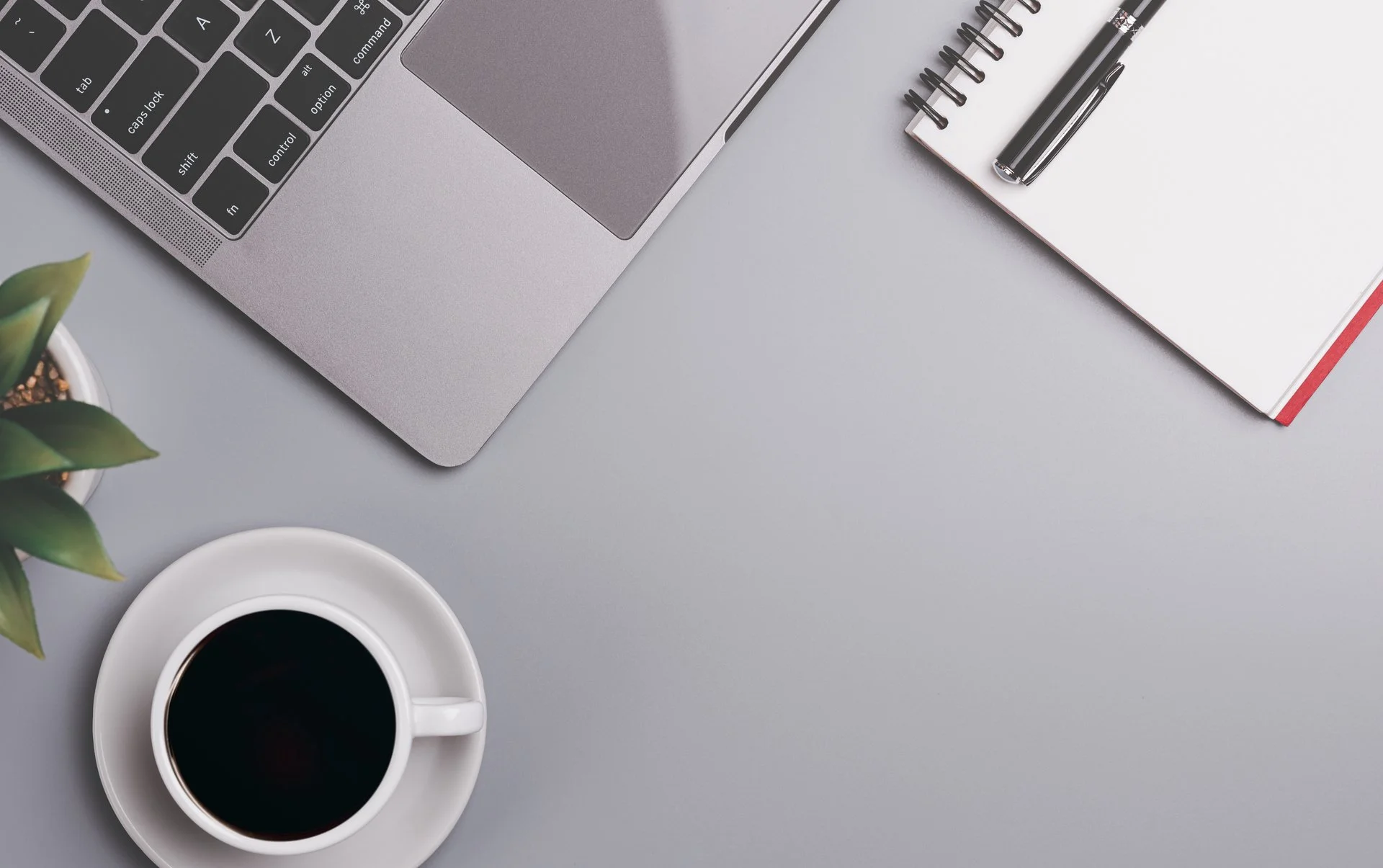 When to DIY Your Website vs. Hiring a Professional