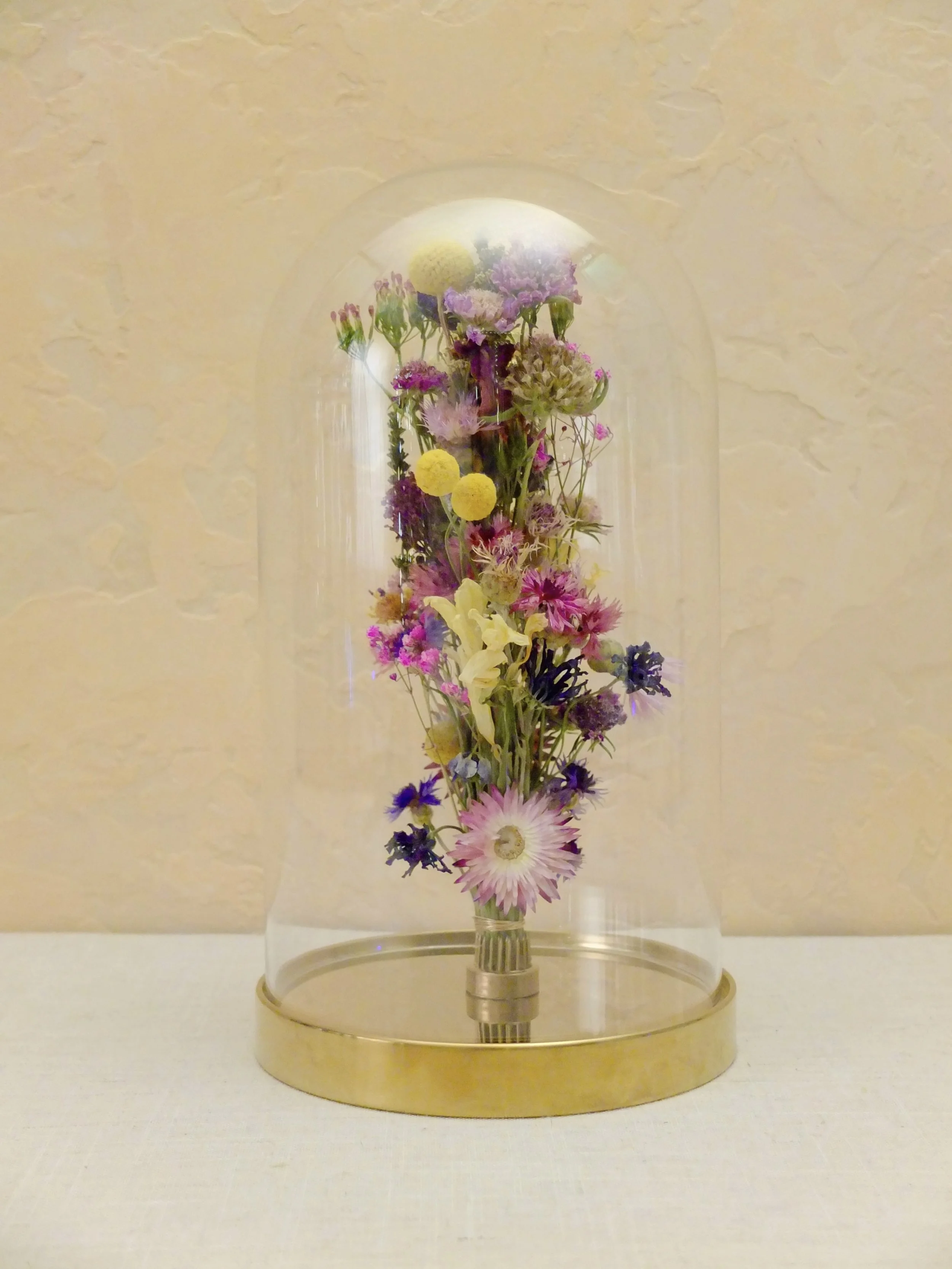 Untitled design.jpeg