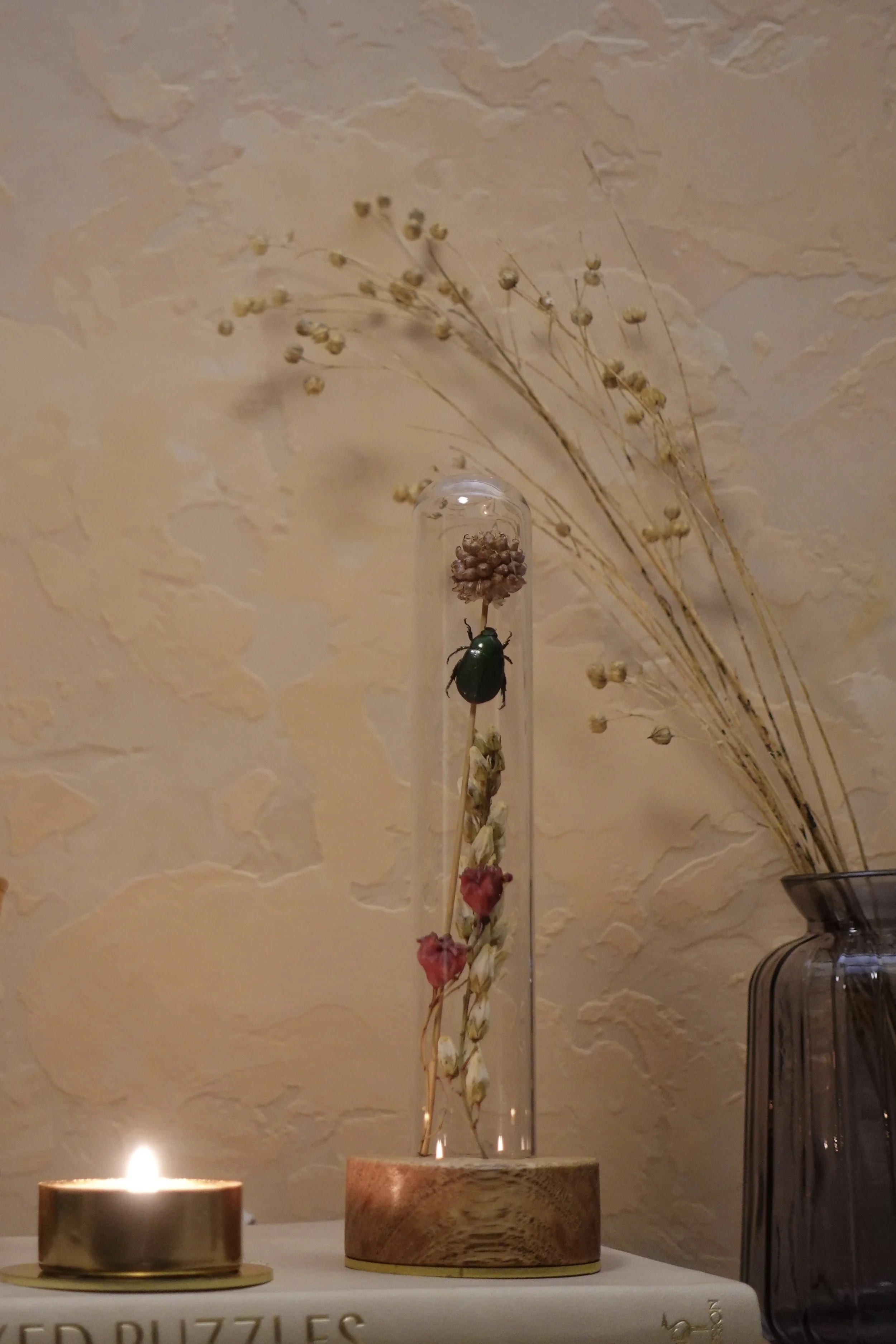 Fable and Bug - Small