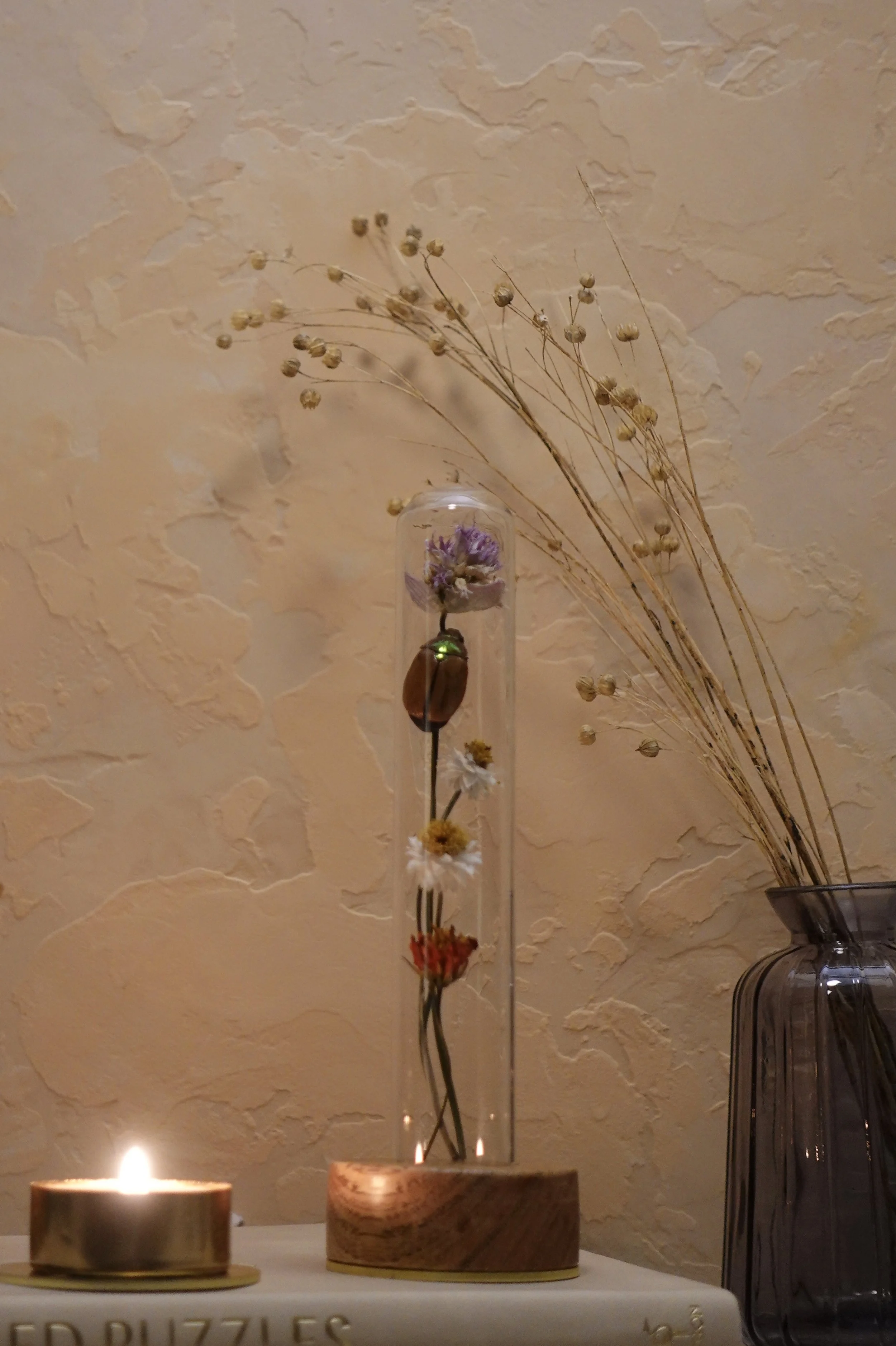 Fable and Bug - Small