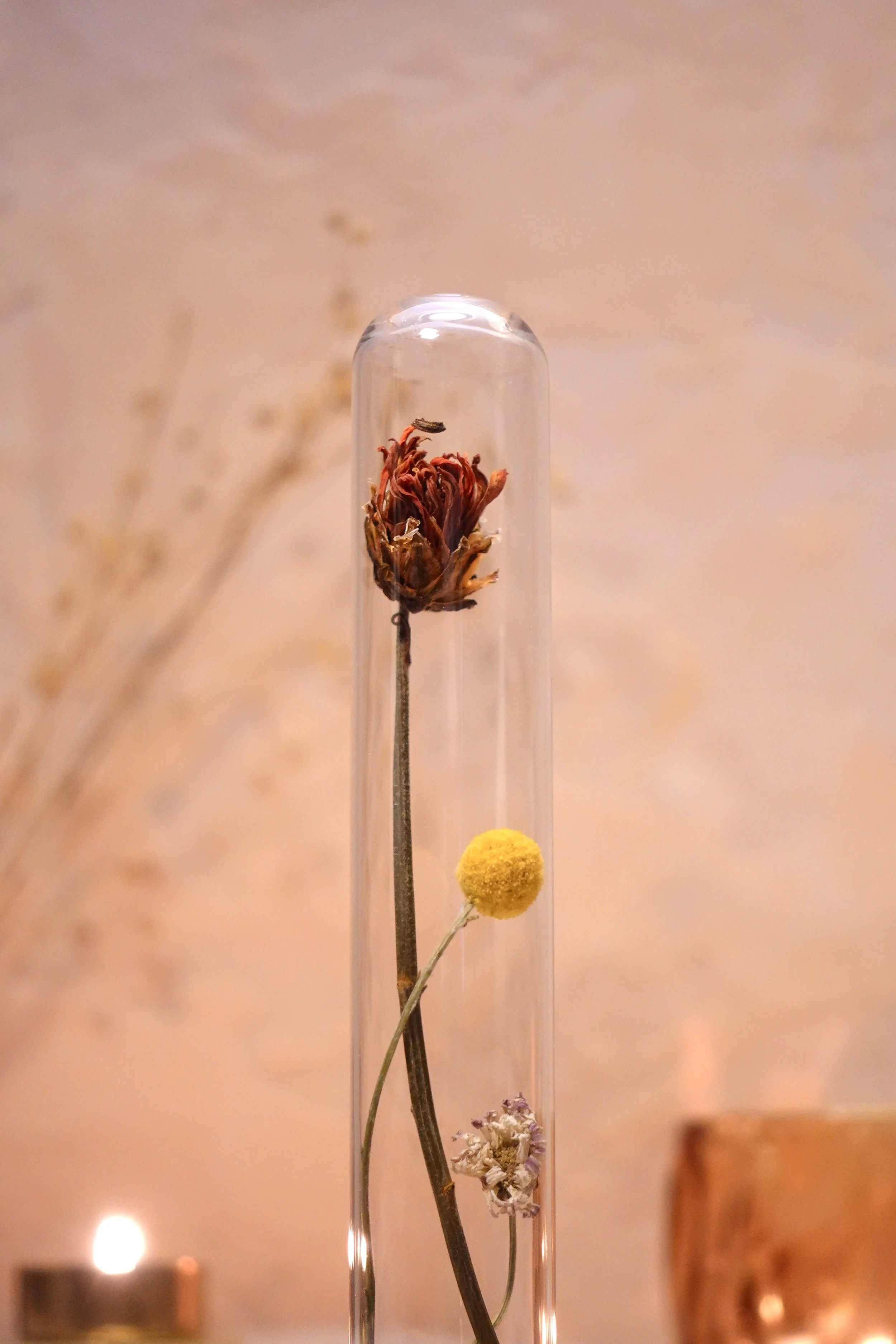 DSC00501.jpeg