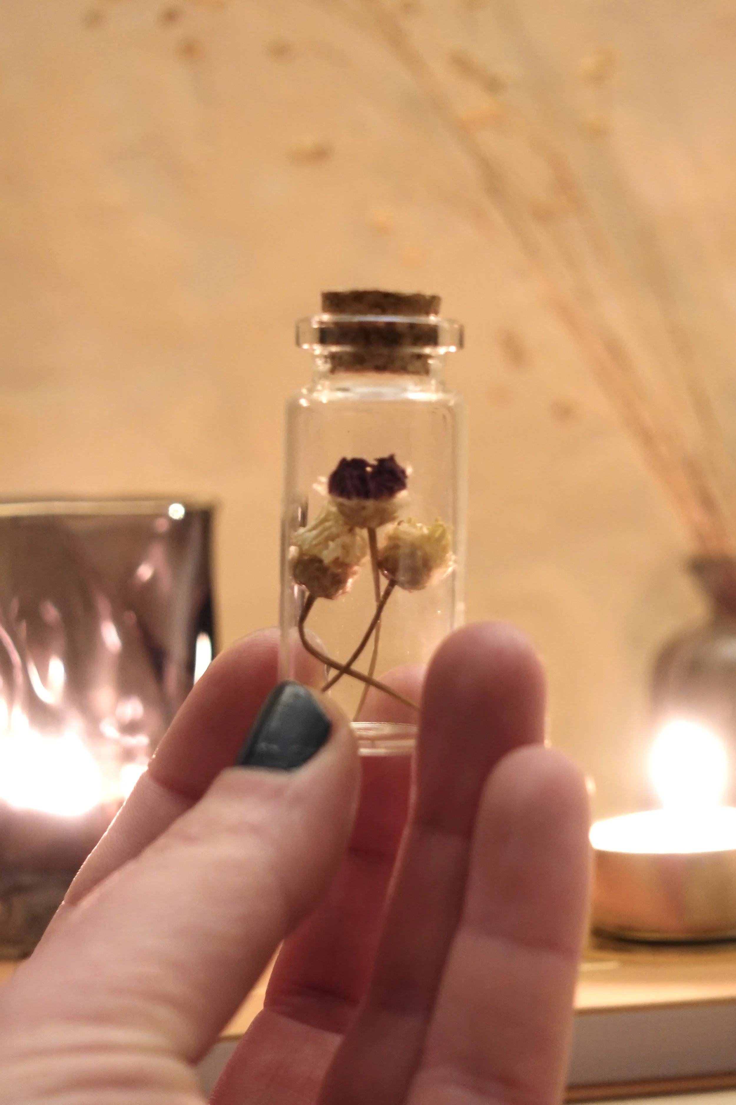 Tiny Jar - Up
