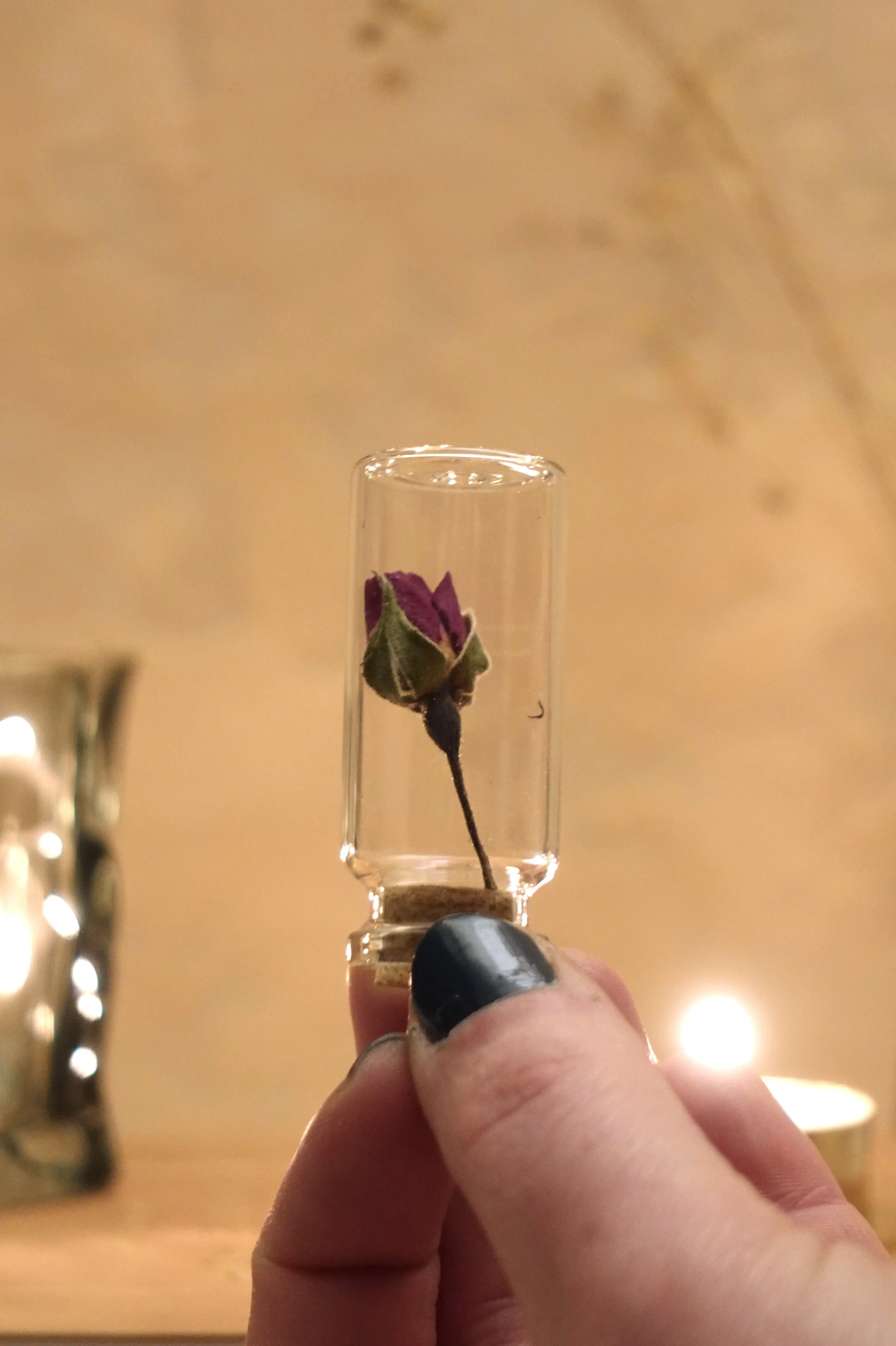 DSC01105.jpeg