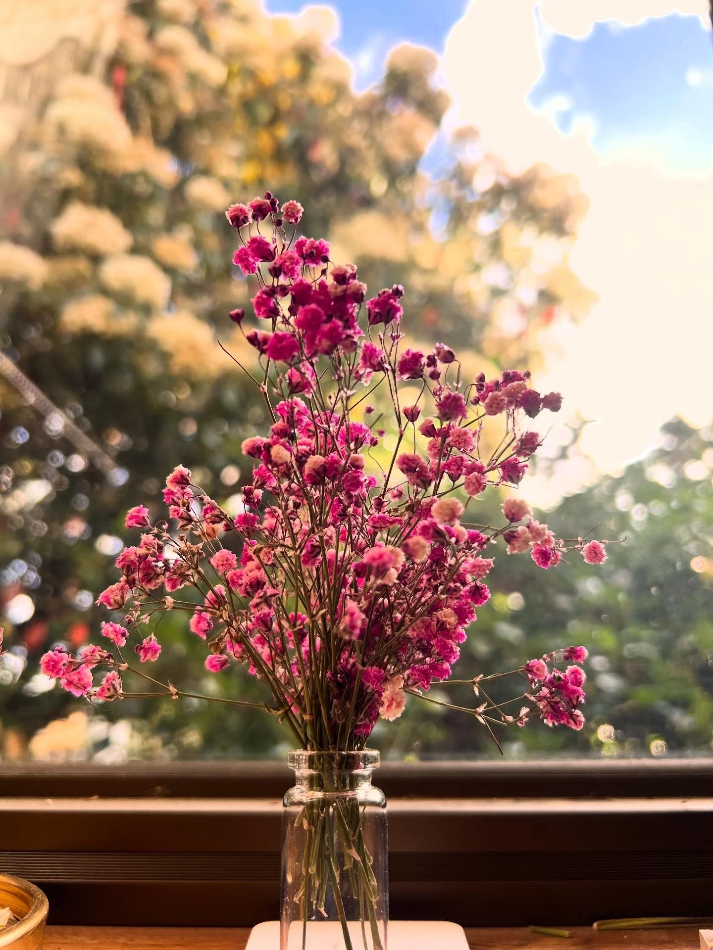 Pink and purple small flowers in a glass vase placed on a window sill with a blurred background of trees and a bright sky.